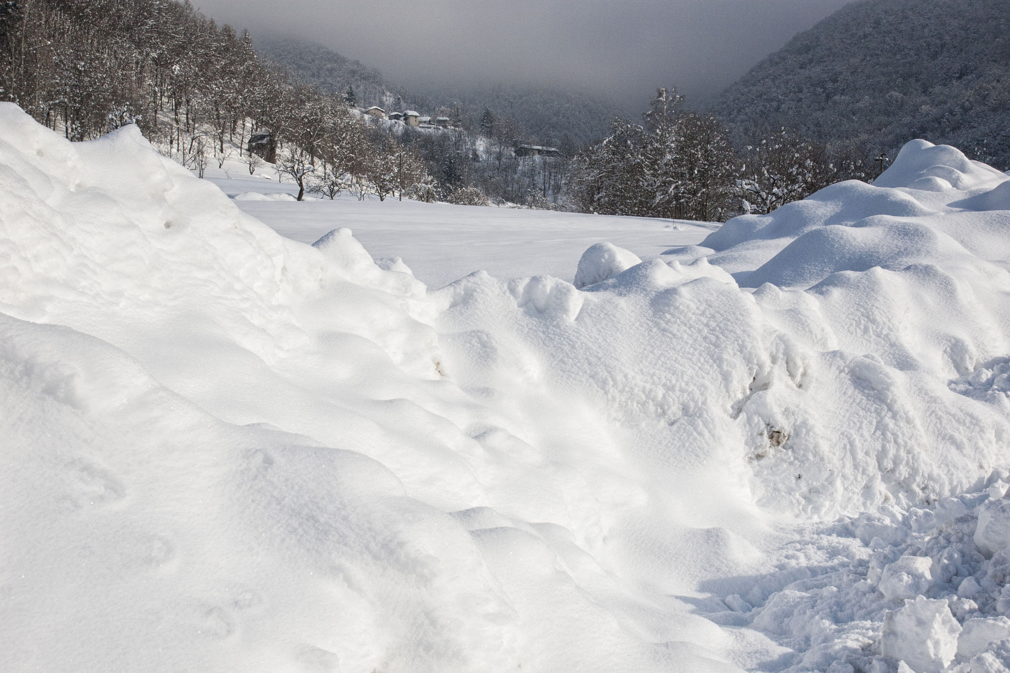 Canon EOS 30D + Canon EF-S 17-55mm F2.8 IS USM sample photo. Under the snow photography