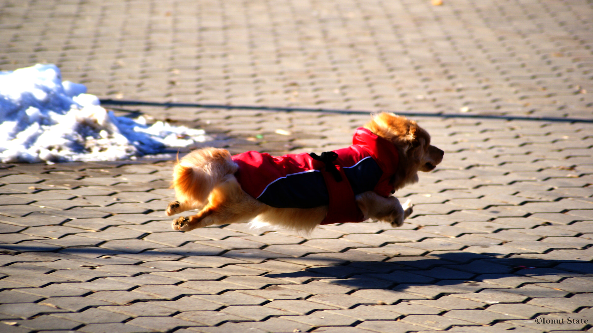 Sony DT 55-200mm F4-5.6 SAM sample photo. I'm flying.... :-d photography