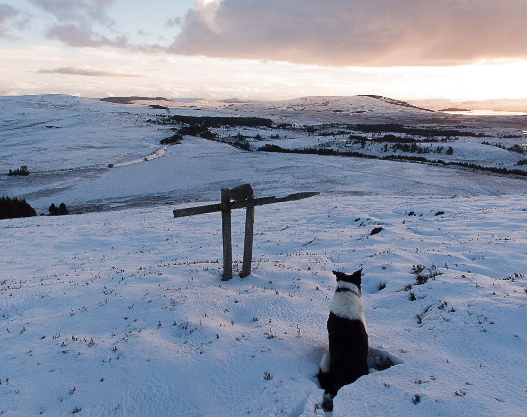 Olympus E-30 sample photo. Craig tiribeg and dava from the knock of braemoray photography