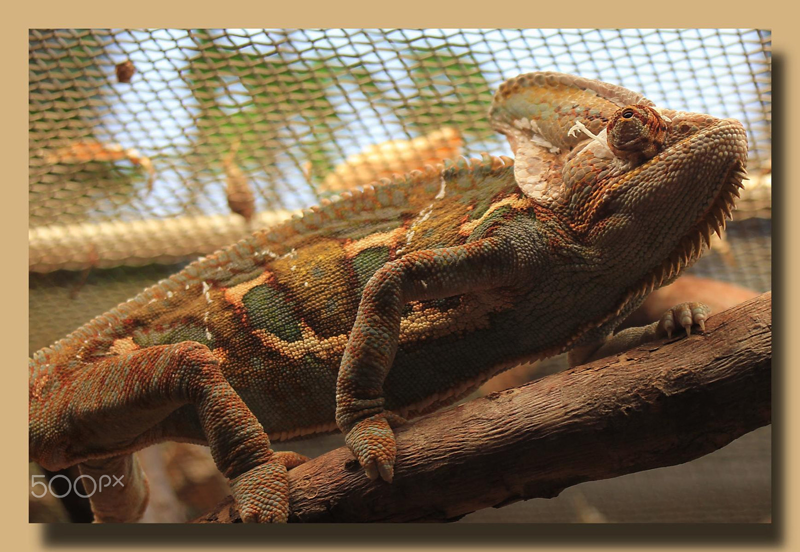 Sigma 28-80mm f/3.5-5.6 II Macro sample photo. Impressionen aus dem zoo wuppertal photography