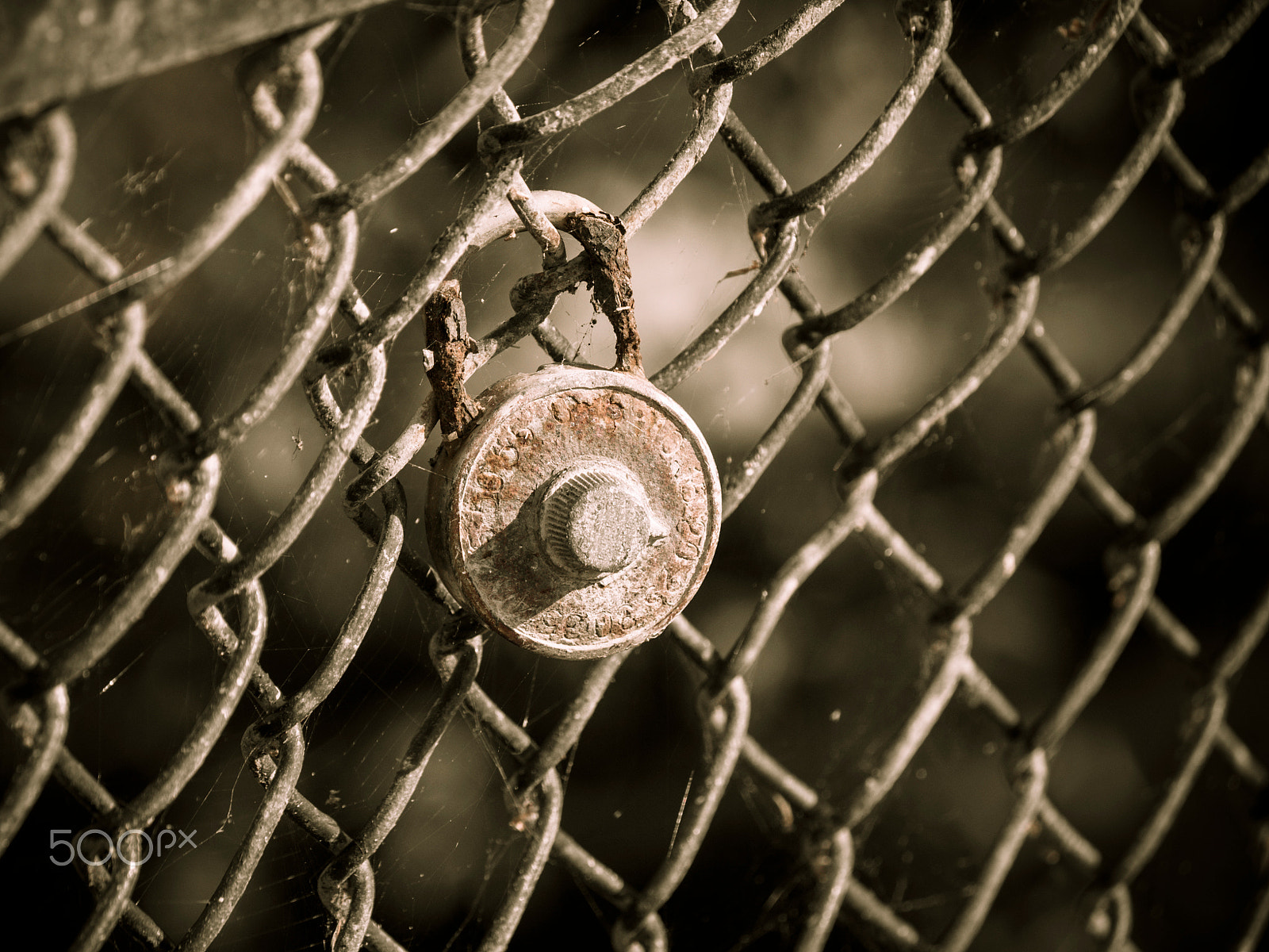 Olympus PEN E-PL5 sample photo. Locked and fenced-in photography