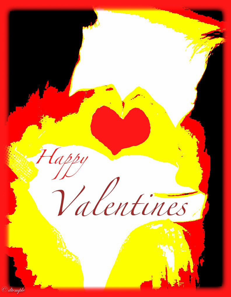 Nikon AF-S Nikkor 14-24mm F2.8G ED sample photo. Valentines day greet photography