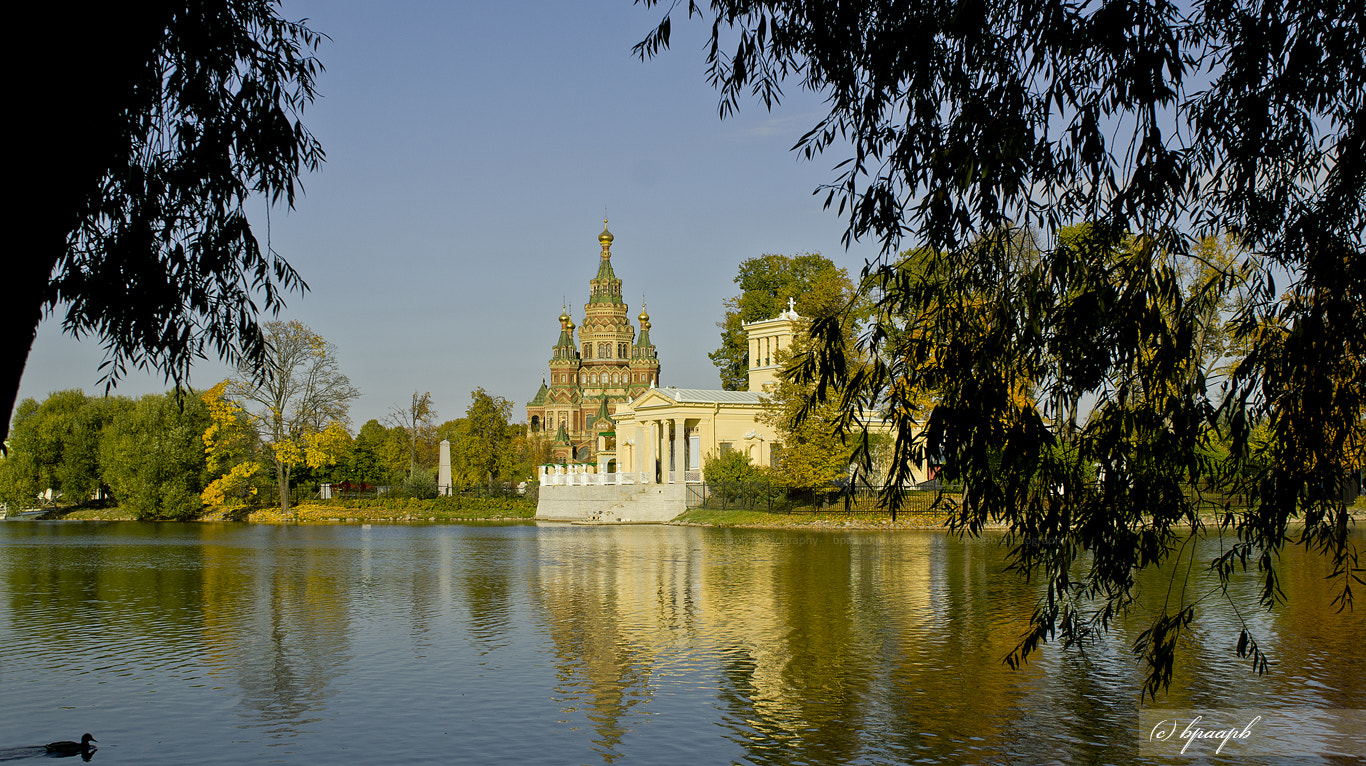 Sony Alpha NEX-5 + Sony E 30mm F3.5 Macro sample photo. Peterhof | cathedral of saints peter and paul and photography