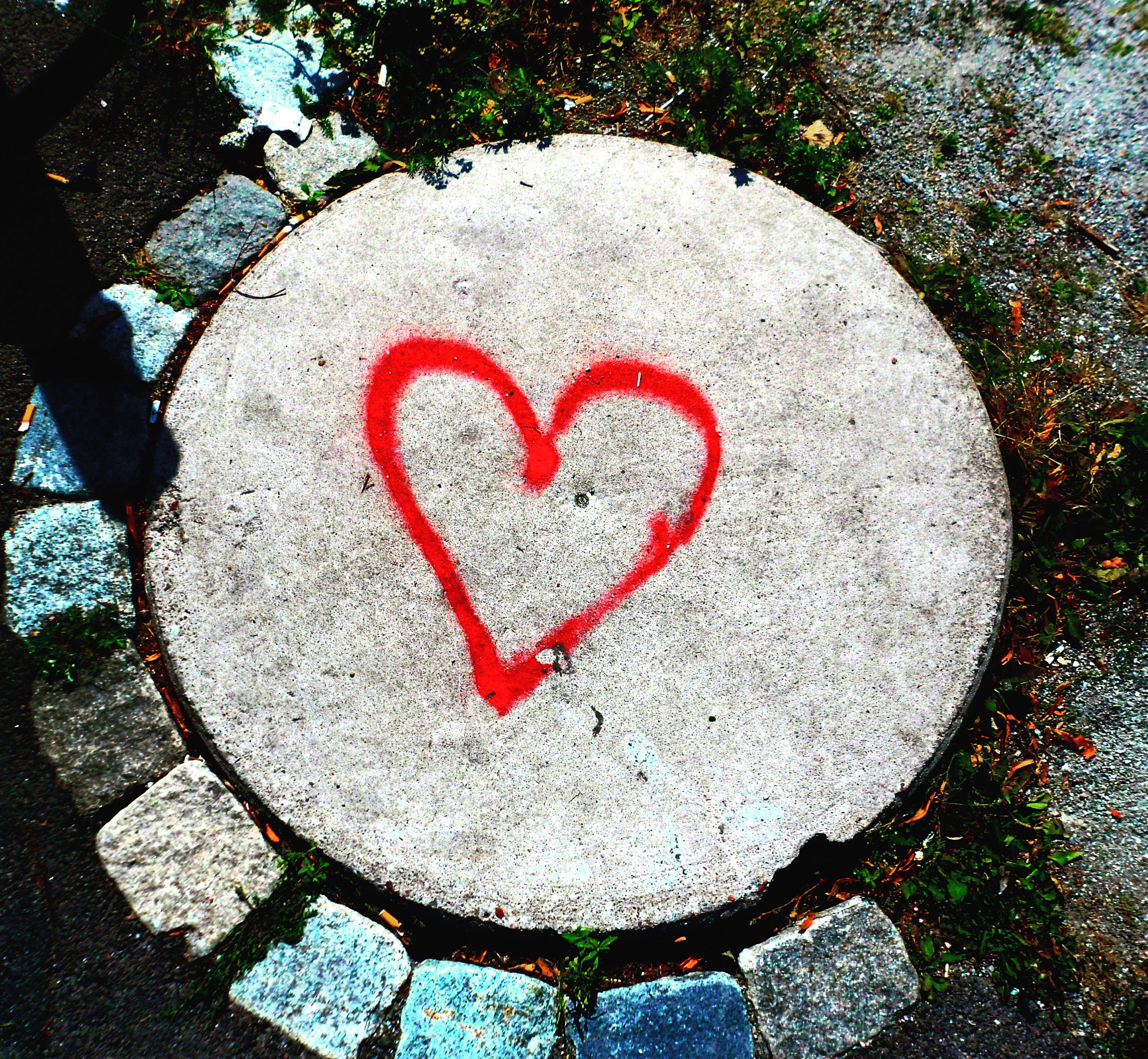 Samsung ST90,ST91 / VLUU ST90,ST91 sample photo. Happy valentine's day! remember, its not just for  ... photography