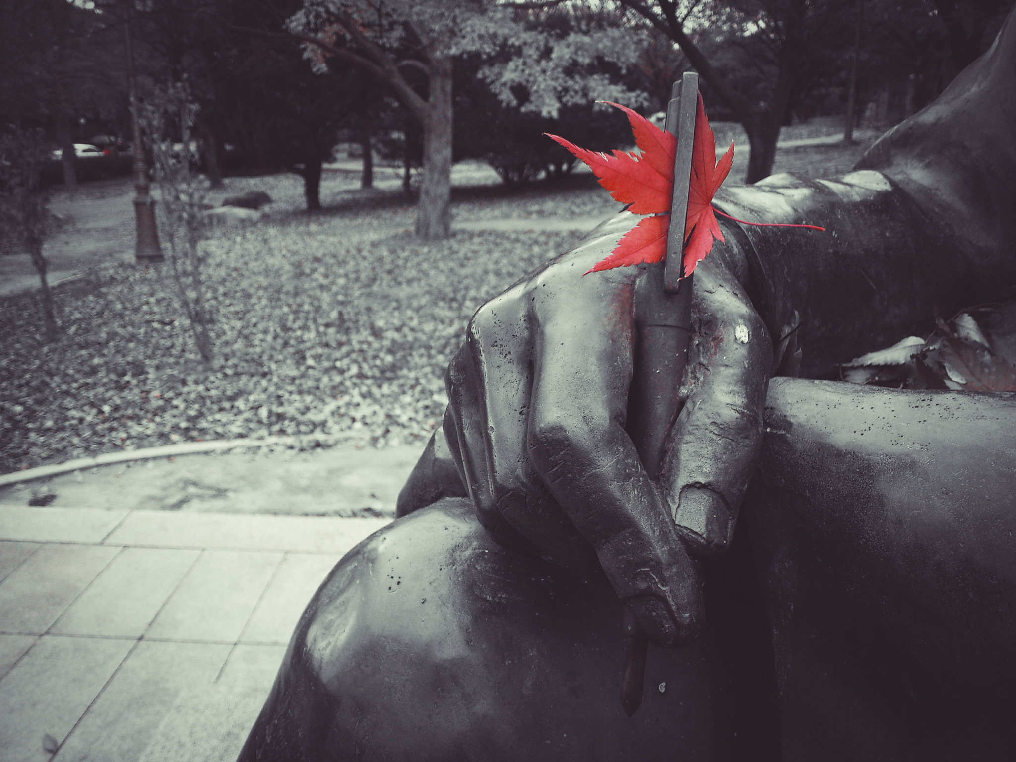 Sony Ericsson Xperia ray sample photo. The fall of the leaf photography