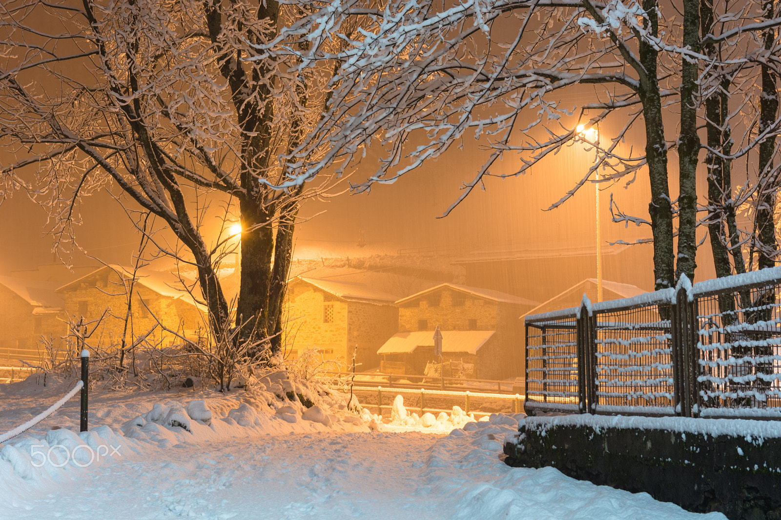 Sigma 17-70mm F2.8-4 DC Macro OS HSM | C sample photo. Wintry walk photography