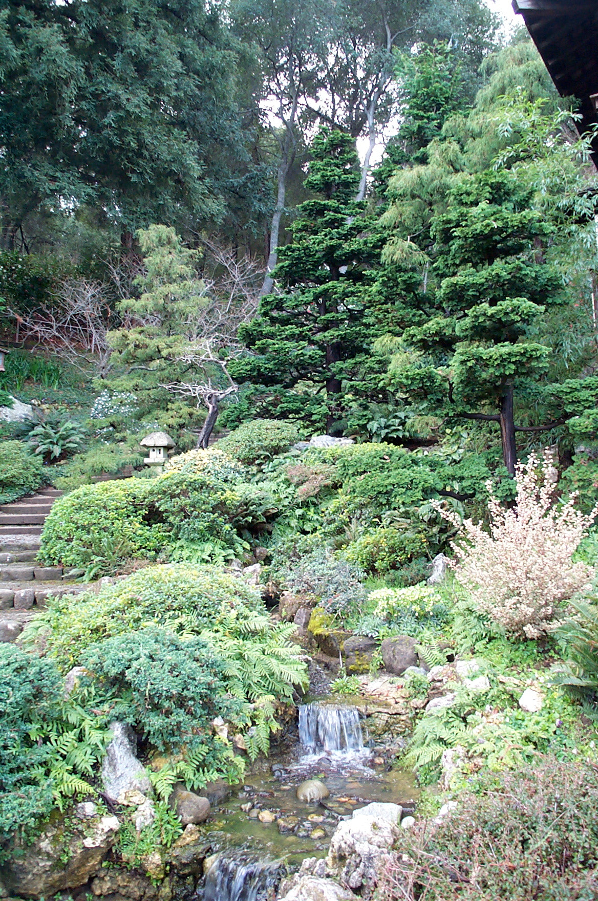 Kodak DC280 ZOOM DIGITAL CAMERA sample photo. Hakone gardens - 2 photography
