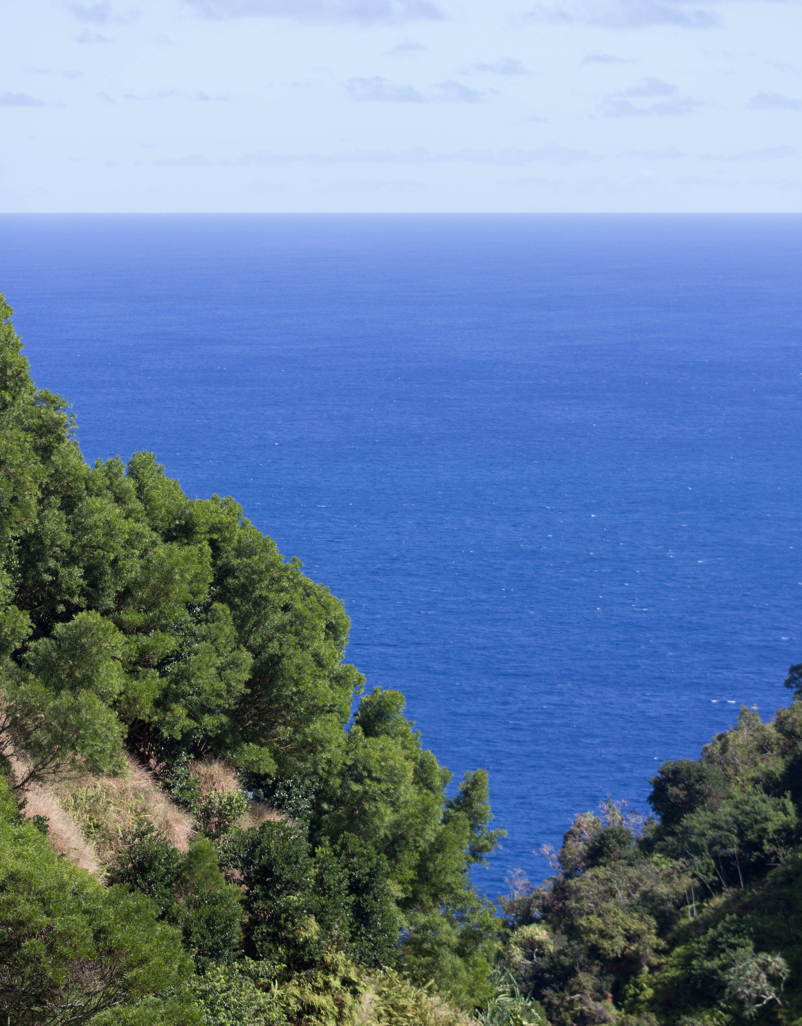Sigma 105mm F2.8 EX DG OS HSM sample photo. Roadside view photography