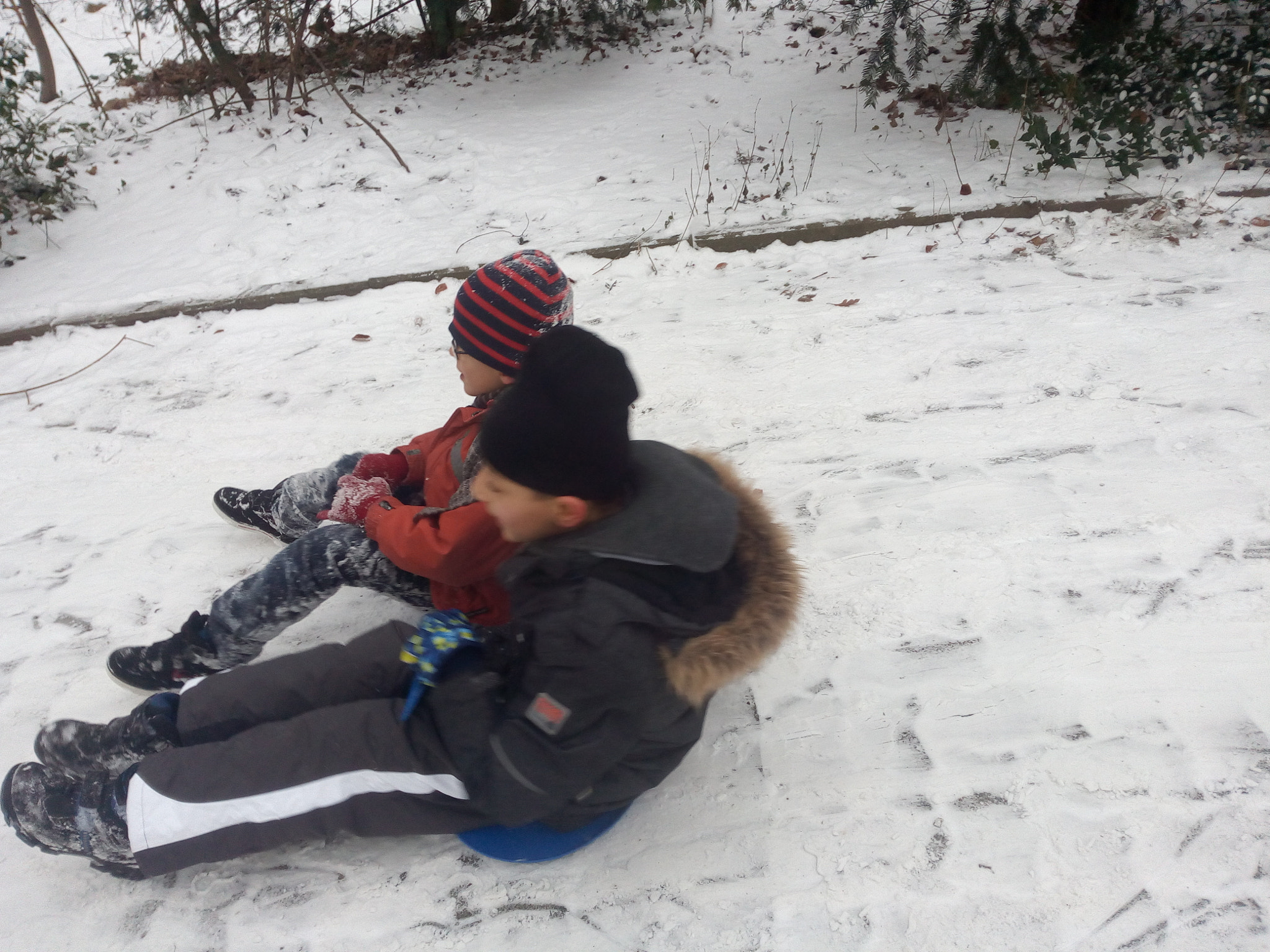 Micromax A316 sample photo. Snow!!  photography