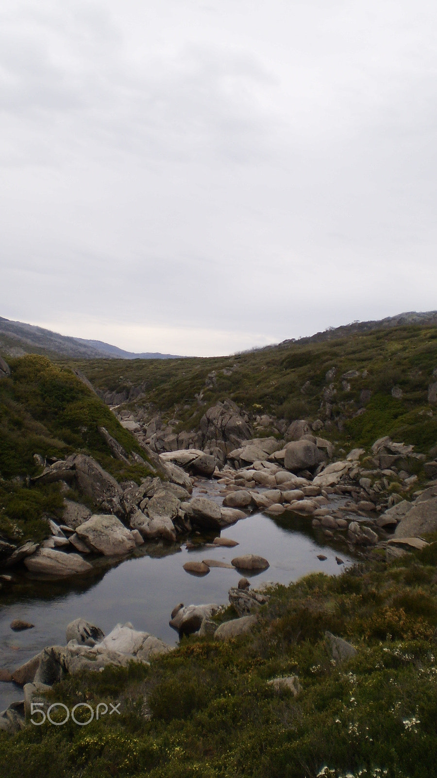 Olympus FE20,X15,C25 sample photo. Kosciusko creek photography