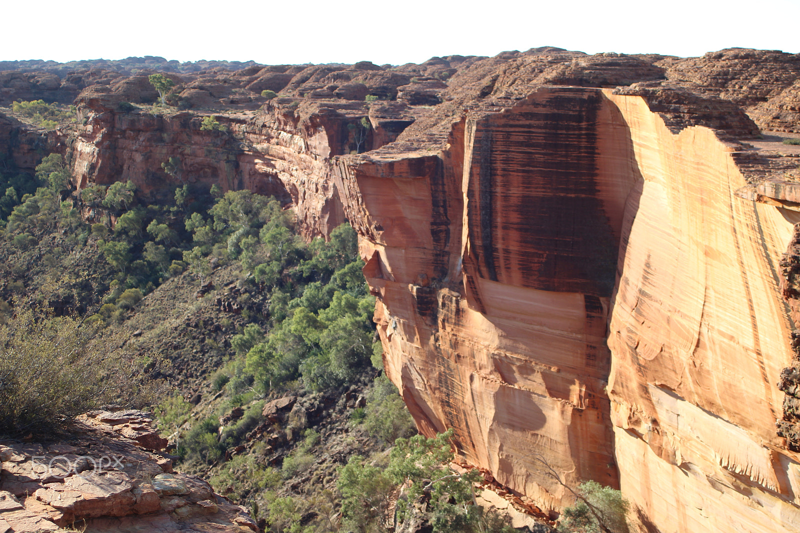 Canon EF 28-80mm f/3.5-5.6 sample photo. Kings canyon photography