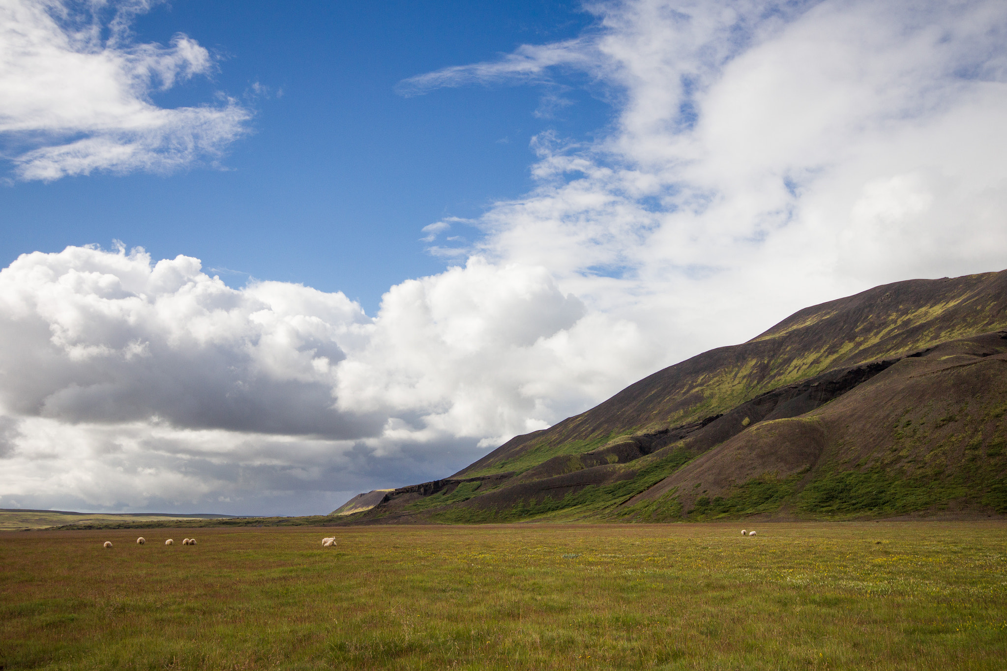 Sigma 10-20mm F4-5.6 EX DC HSM sample photo. Icelandic plains photography
