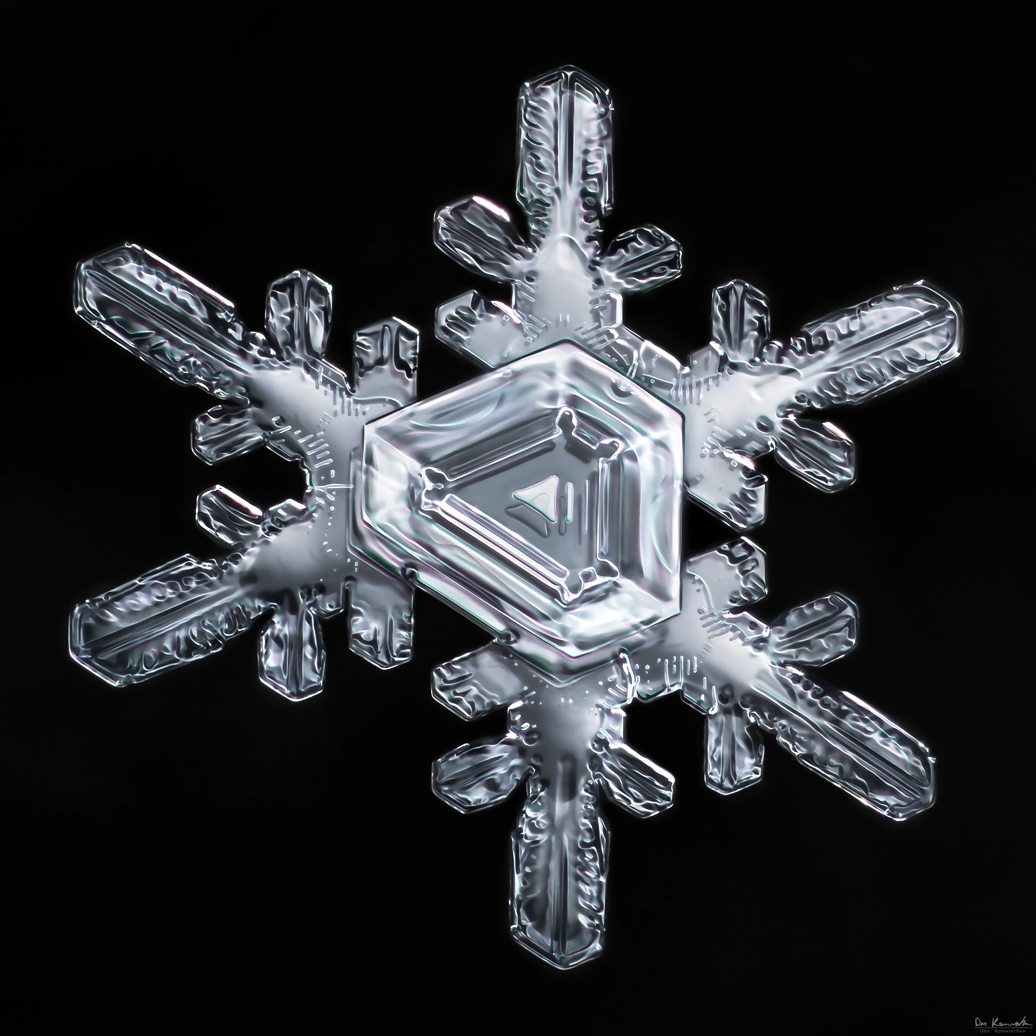 Canon MP-E 65mm F2.5 1-5x Macro Photo sample photo. Snowflake-a-day #75 photography