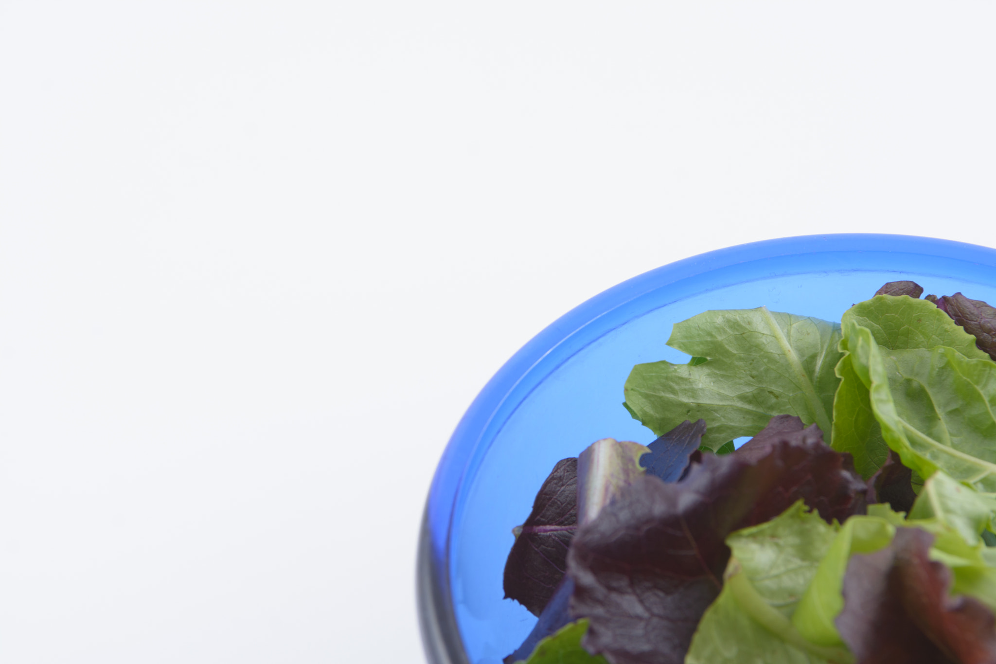 Nikon AF-S Nikkor 28-70mm F2.8 ED-IF sample photo. Blue bowl of spring mix salad photography