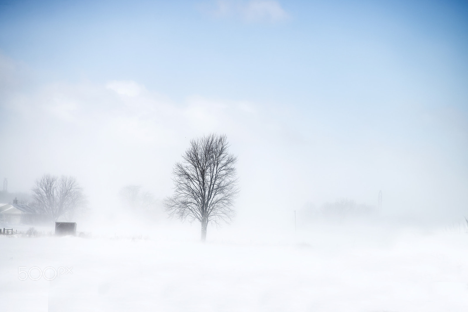 Nikon D600 + Nikon AF Nikkor 180mm F2.8D ED-IF sample photo. Winter dream photography