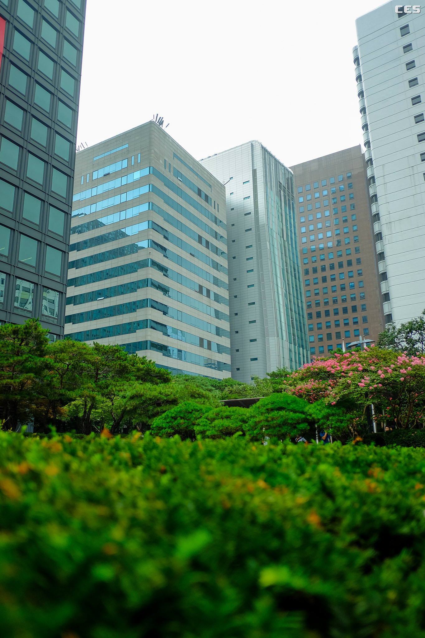 Fujifilm X-A2 + Fujifilm XF 18mm F2 R sample photo. Green in the city photography