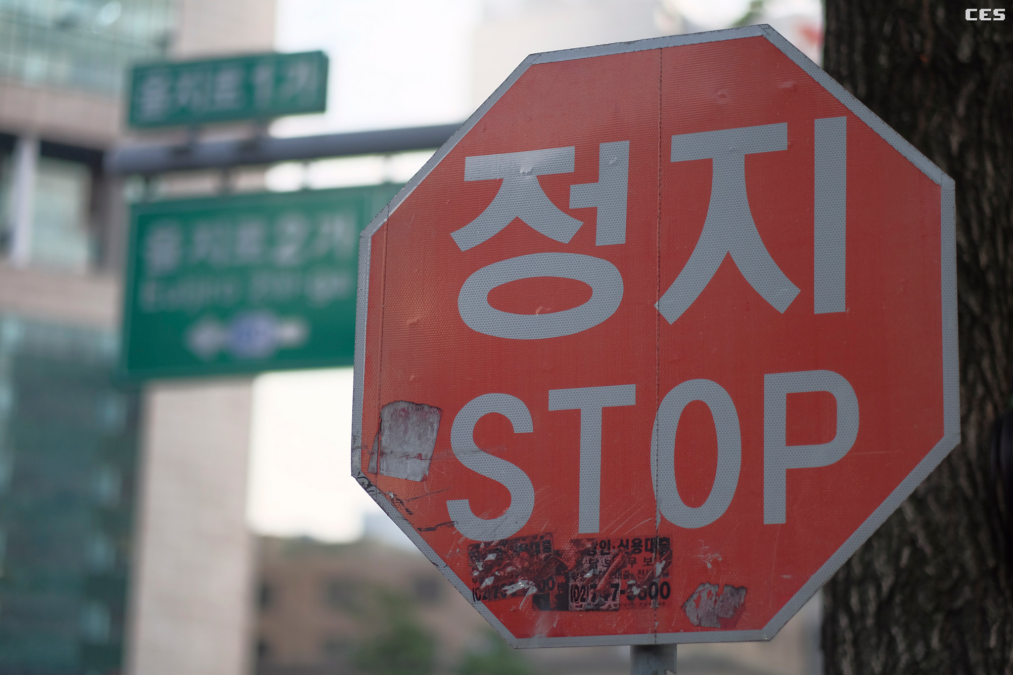 Fujifilm X-A2 + Fujifilm XF 56mm F1.2 R sample photo. Stop sign photography