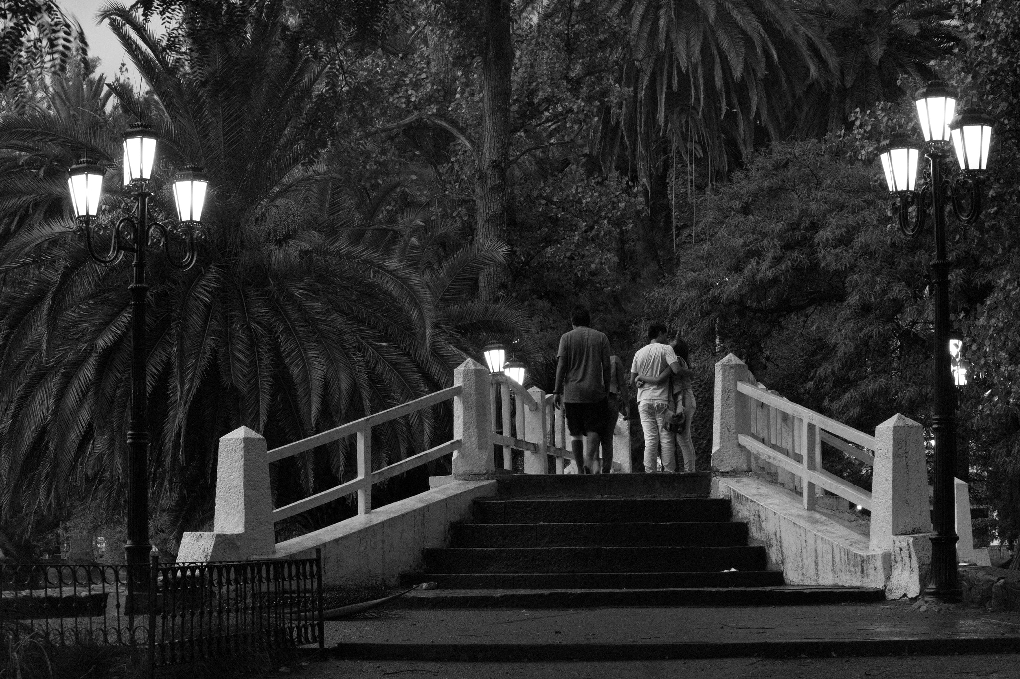 Samsung NX1000 + Samsung NX 50-200mm F4-5.6 ED OIS sample photo. Puente de parque san martin photography