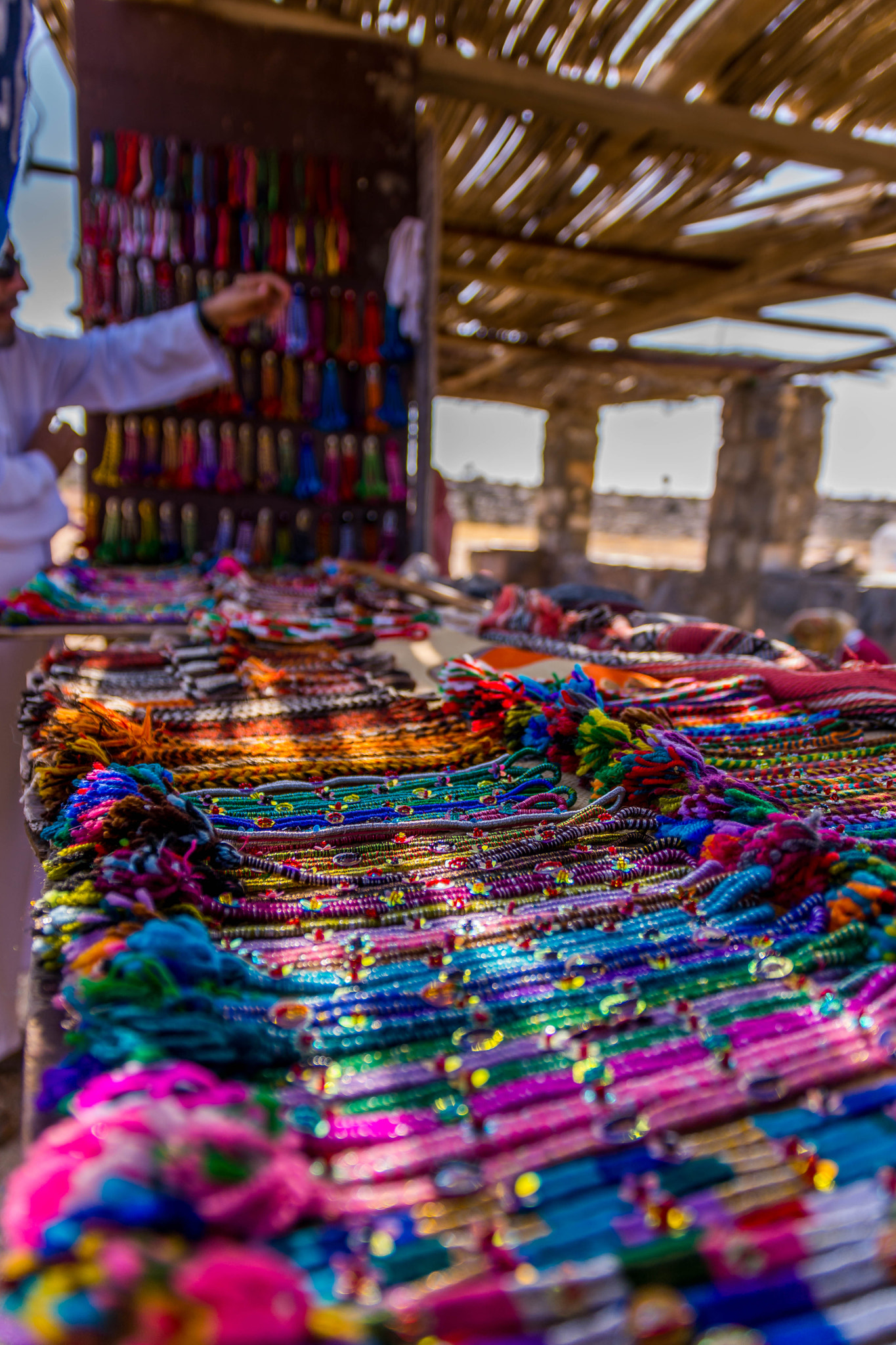 Sigma 17-70mm F2.8-4 DC Macro OS HSM | C sample photo. Colours | ألوان photography