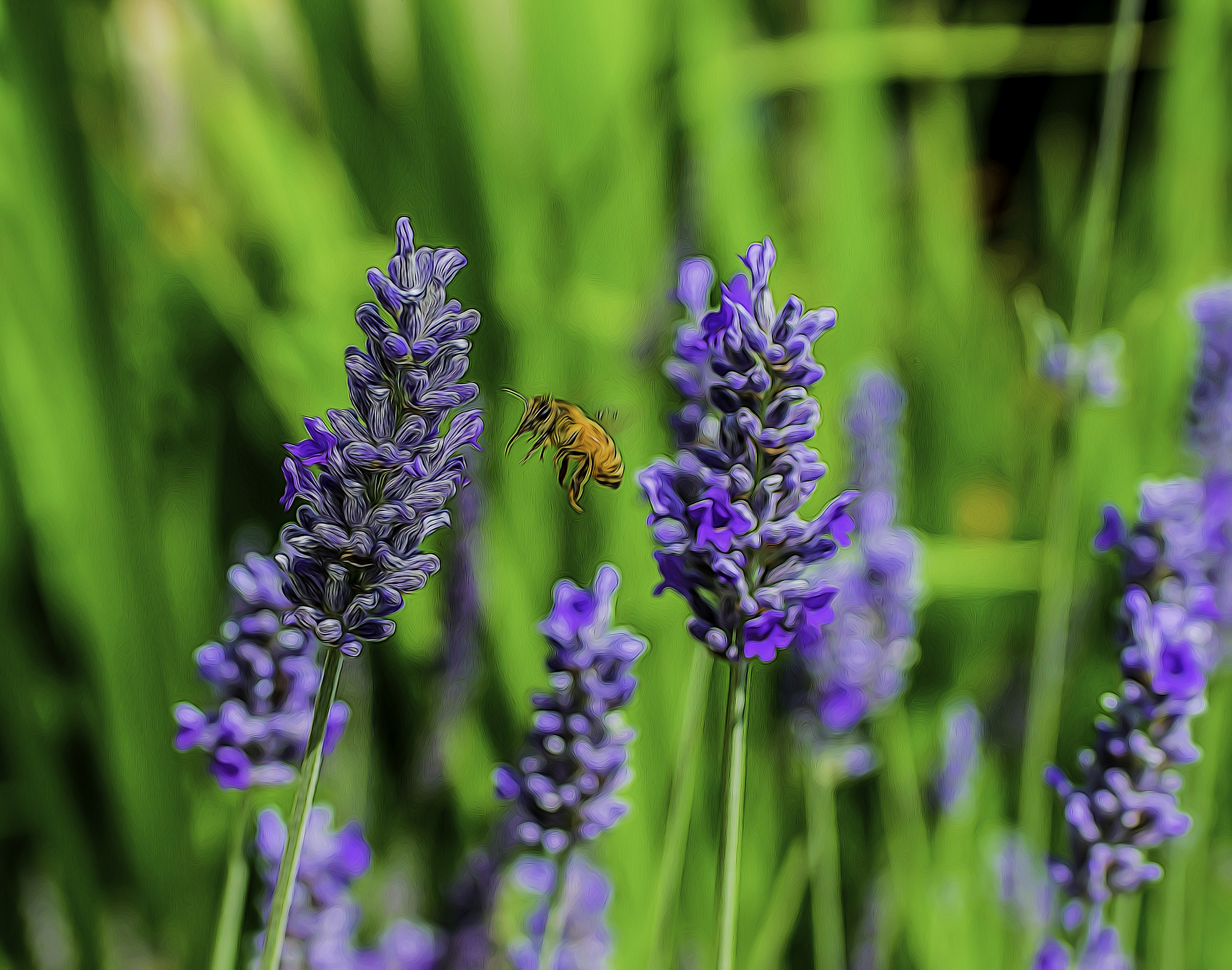 Sony SLT-A77 + MACRO 50mm F2.8 sample photo. Hovering bee ii photography