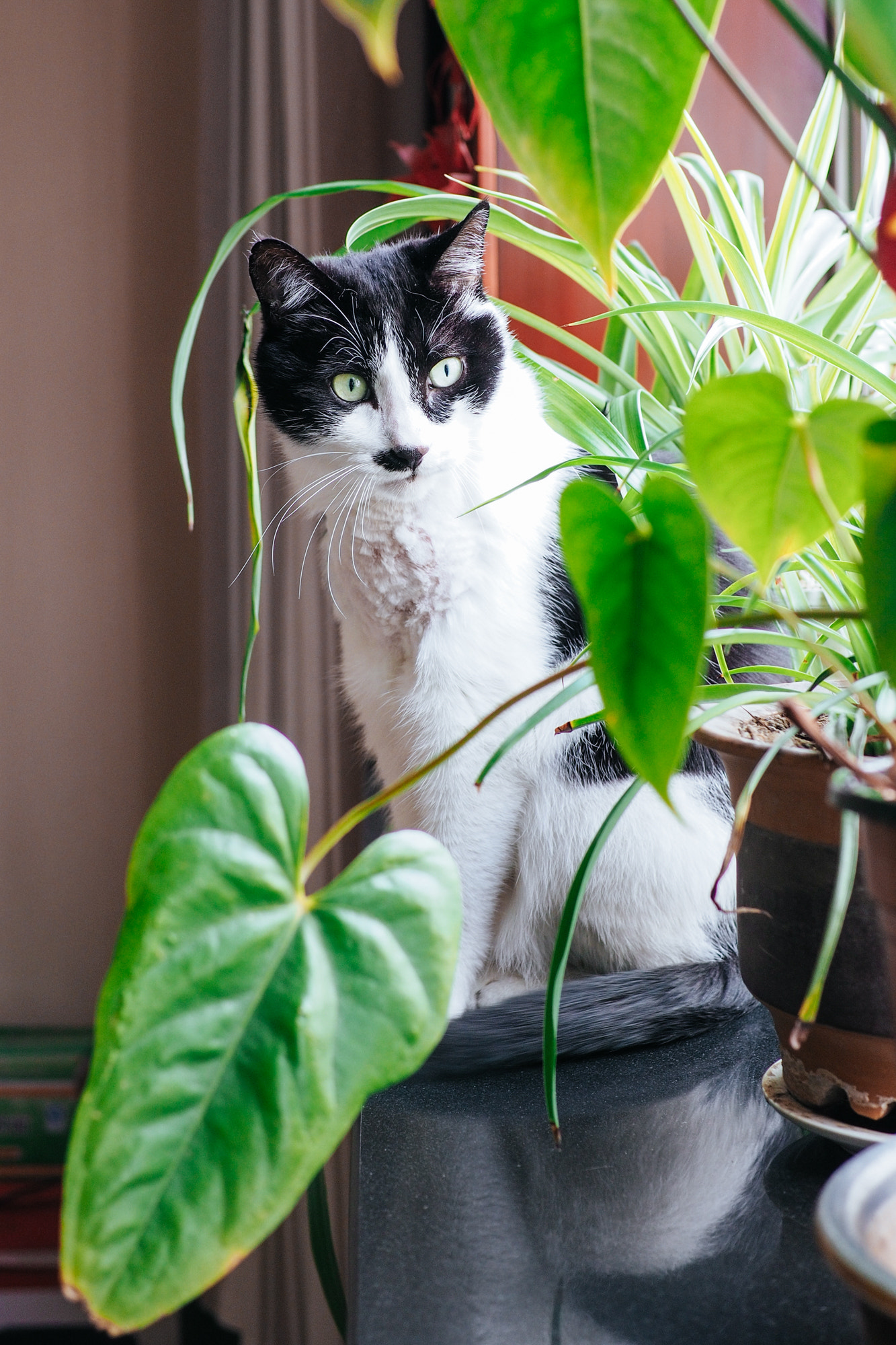 Olympus OM-D E-M10 + Panasonic Leica DG Summilux 25mm F1.4 II ASPH sample photo. Mimi photography