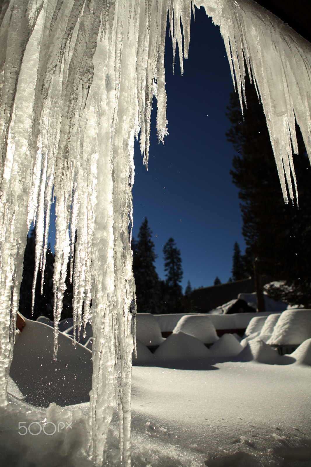 Canon EF 24-70mm F2.8L USM sample photo. Icy world photography