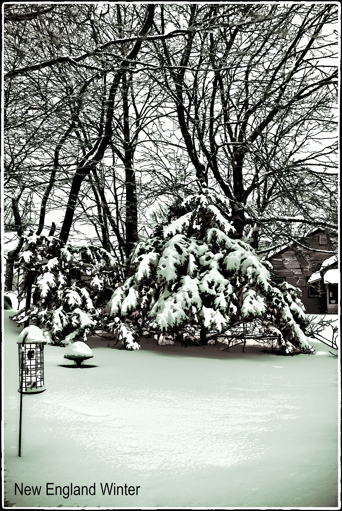 smc PENTAX-FA 28-80mm F3.5-5.6 AL sample photo. A cold winter in new england photography