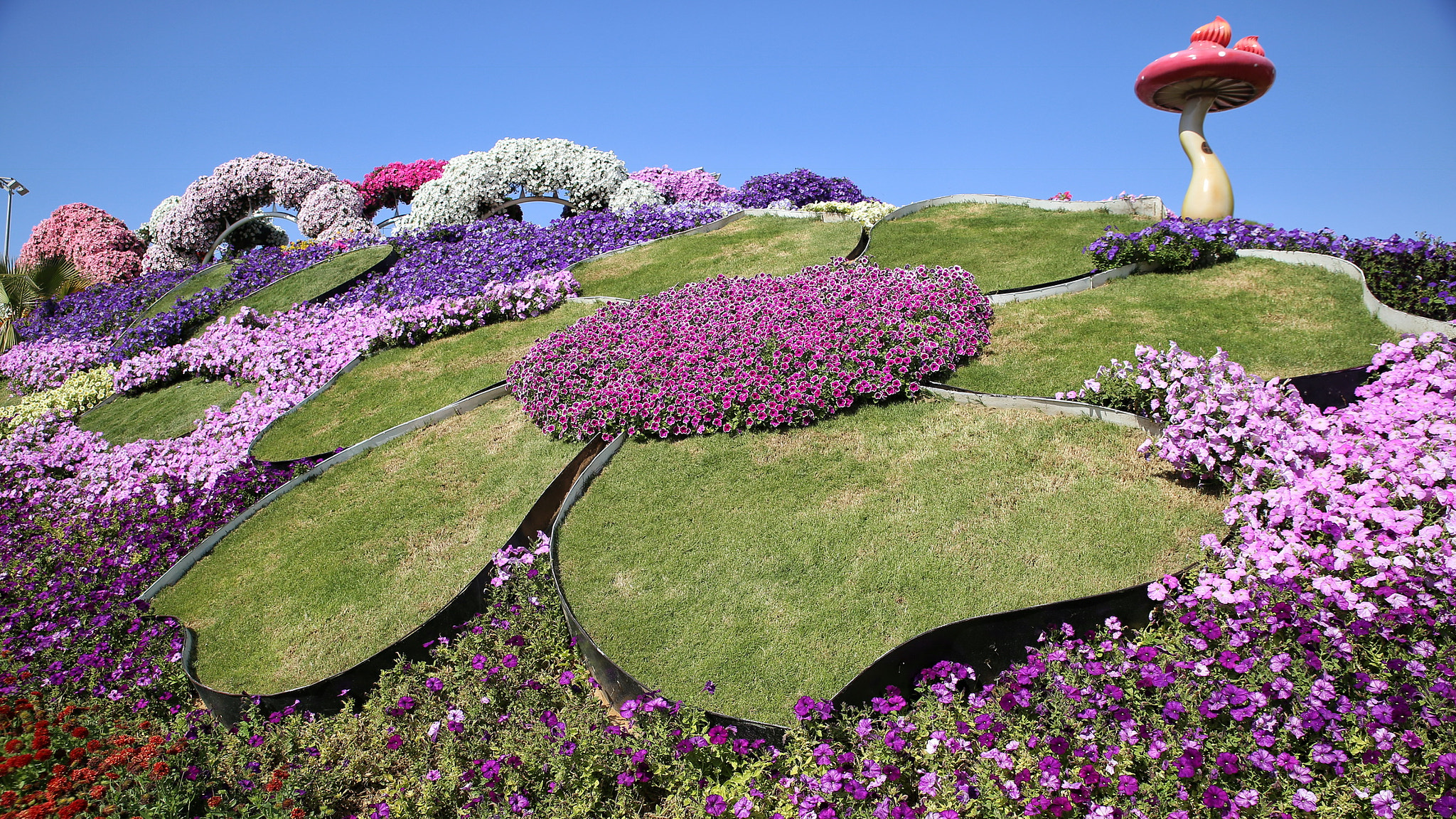 Canon EOS 6D + Canon 24-70mm sample photo