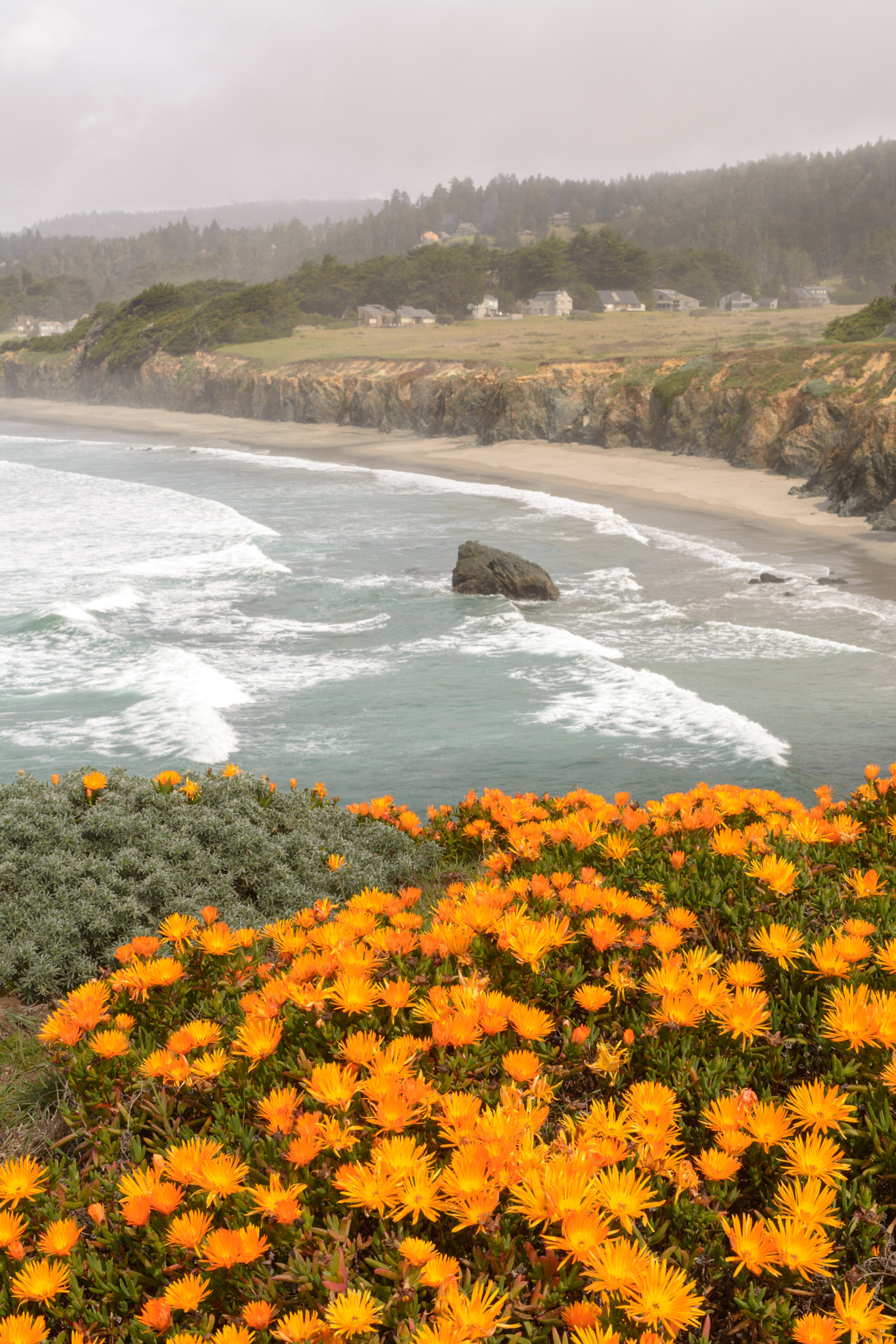 Nikon AF-S Nikkor 28-70mm F2.8 ED-IF sample photo. Orange flower coast landscape photography
