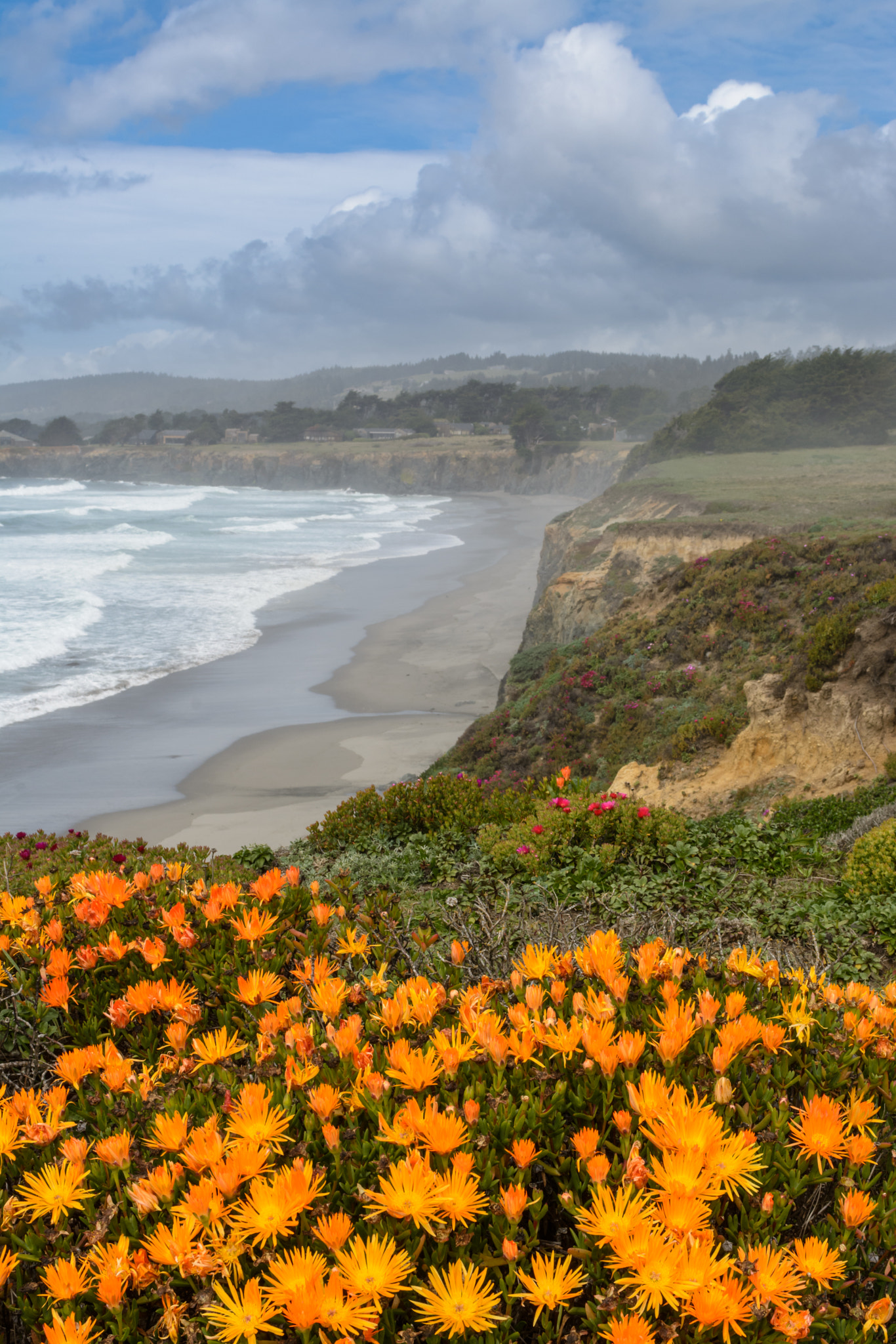 Nikon AF-S Nikkor 28-70mm F2.8 ED-IF sample photo. Orange flower coastline photography