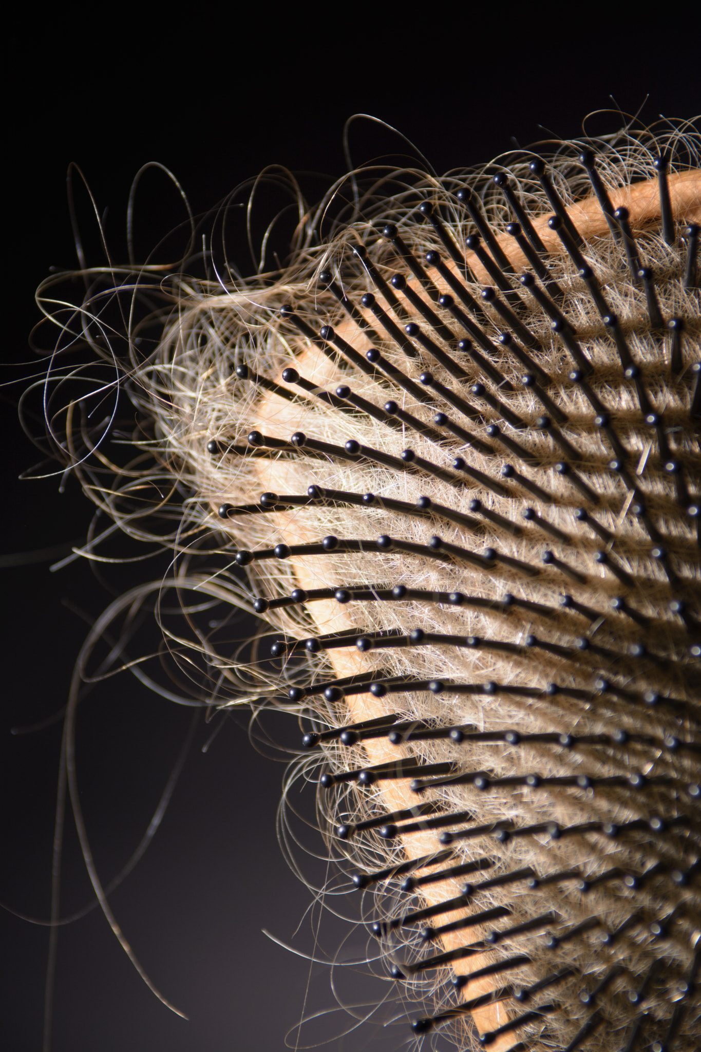 Nikon AF-S Nikkor 28-70mm F2.8 ED-IF sample photo. Hair brush with tangled hair. photography