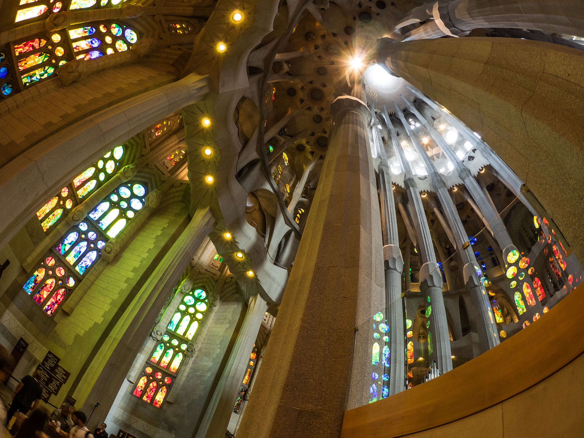 Olympus OM-D E-M1 + LUMIX G FISHEYE 8/F3.5 sample photo. Cathedral curves photography