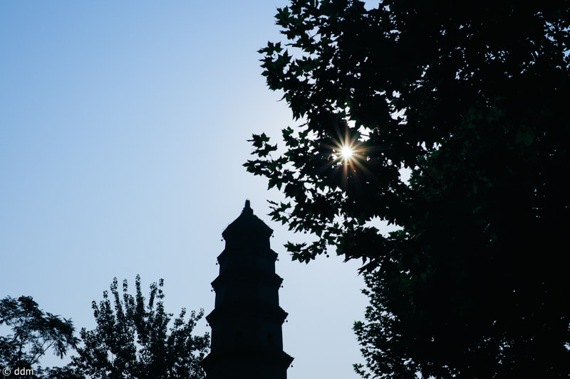 Olympus OM-D E-M10 + Panasonic Leica DG Summilux 25mm F1.4 II ASPH sample photo. Streets in xi'an photography