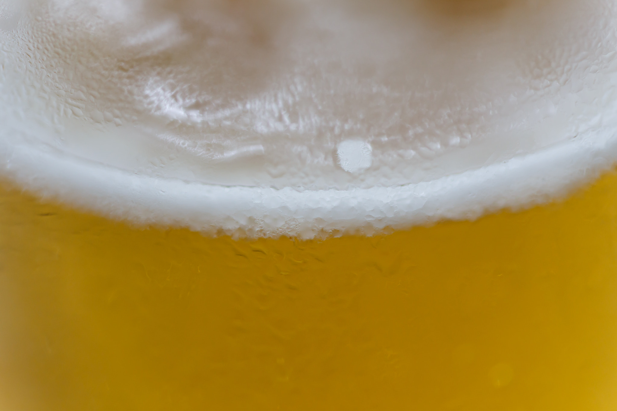 Tamron SP AF 90mm F2.8 Di Macro sample photo. Beer detail photography