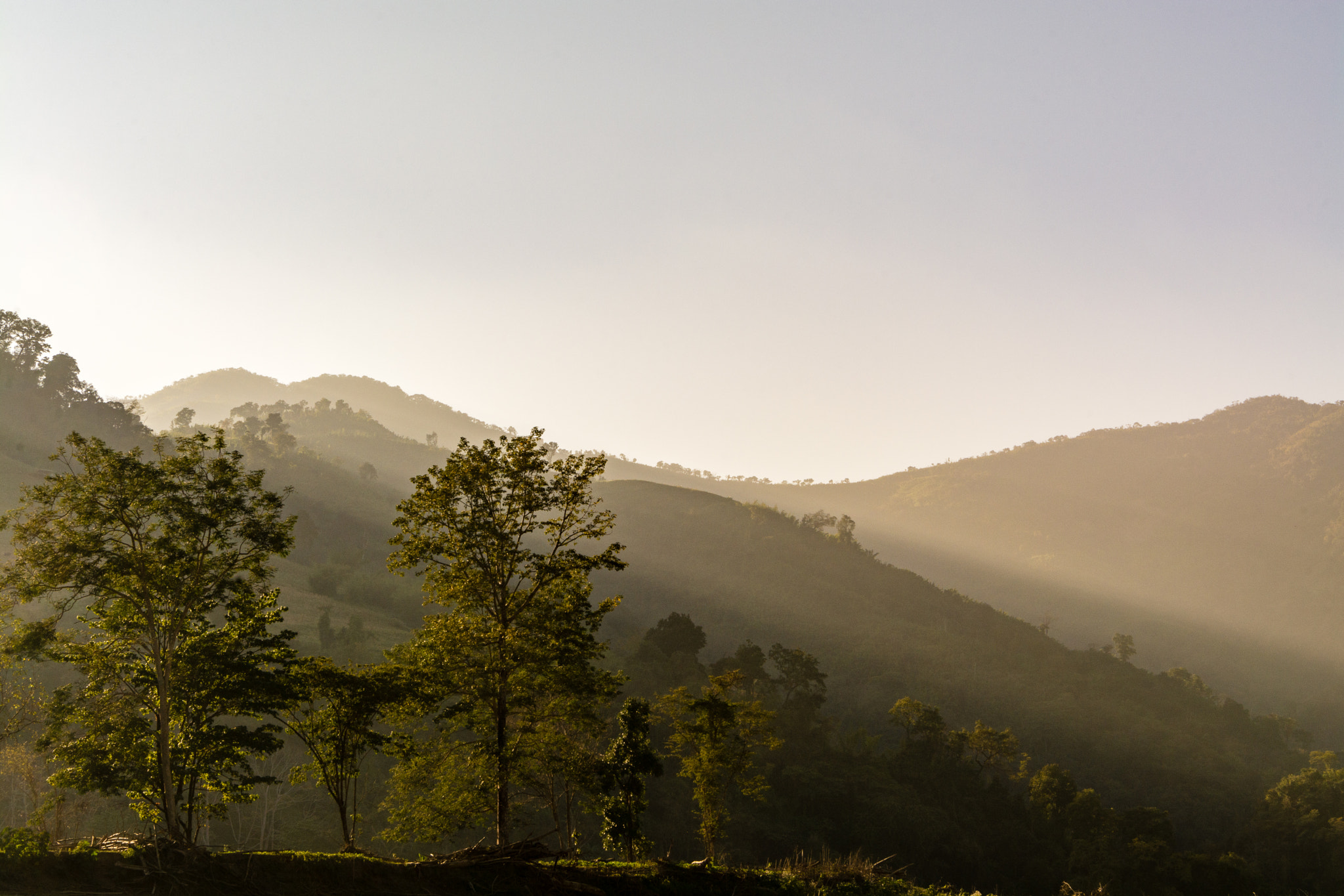 Nikon AF-S Nikkor 24-70mm F2.8E ED VR sample photo. Ondulating photography