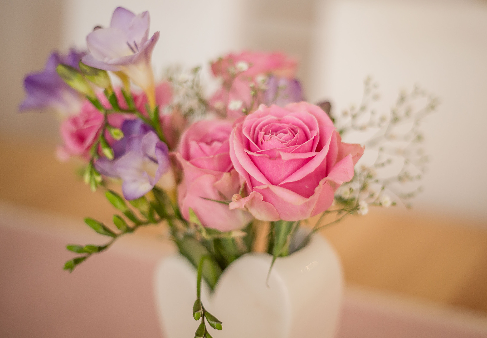Canon EOS 6D + Canon EF 50mm f/1.8 sample photo. Lovely rose photography