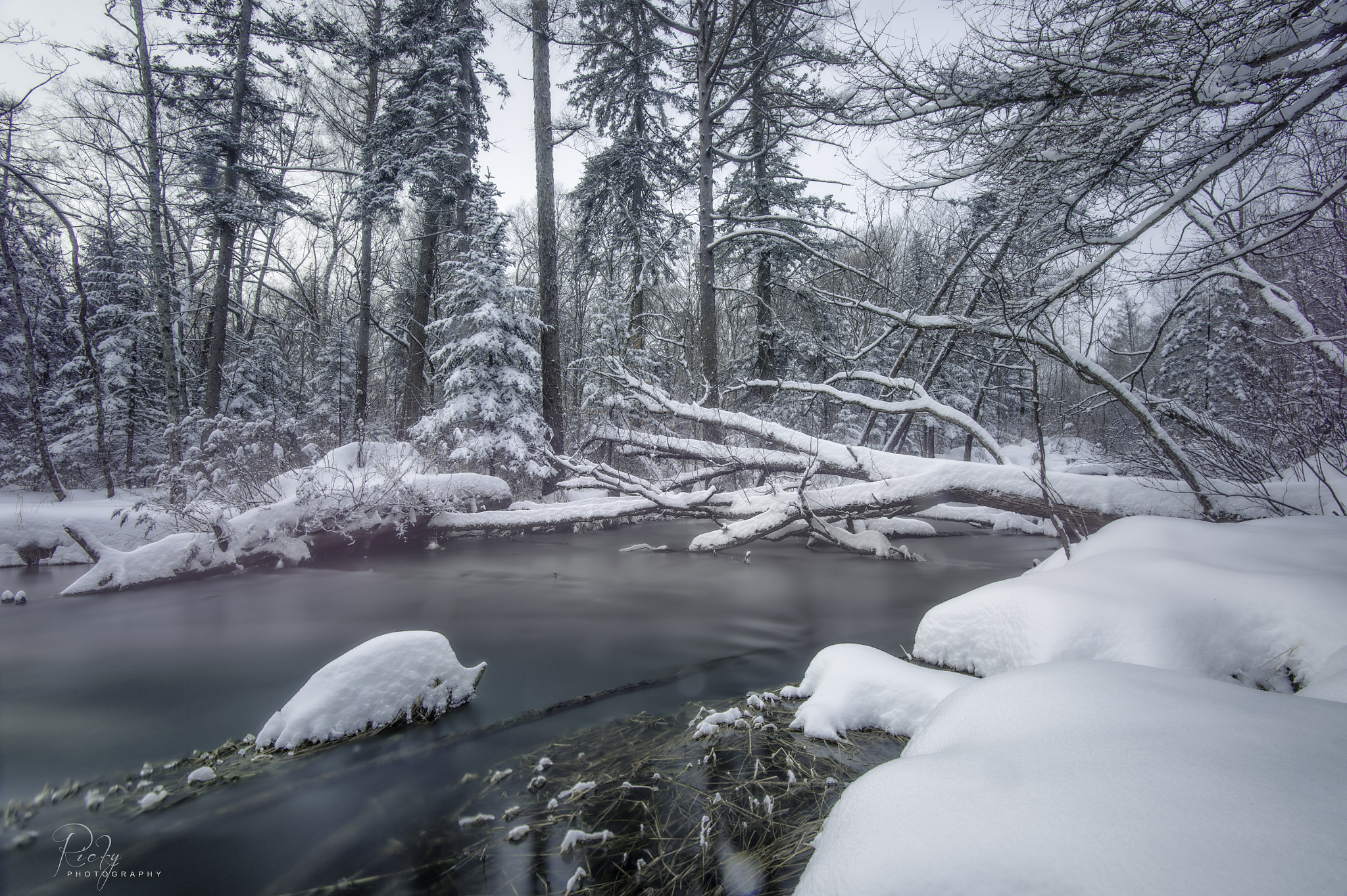 Nikon Df sample photo. China snow photography