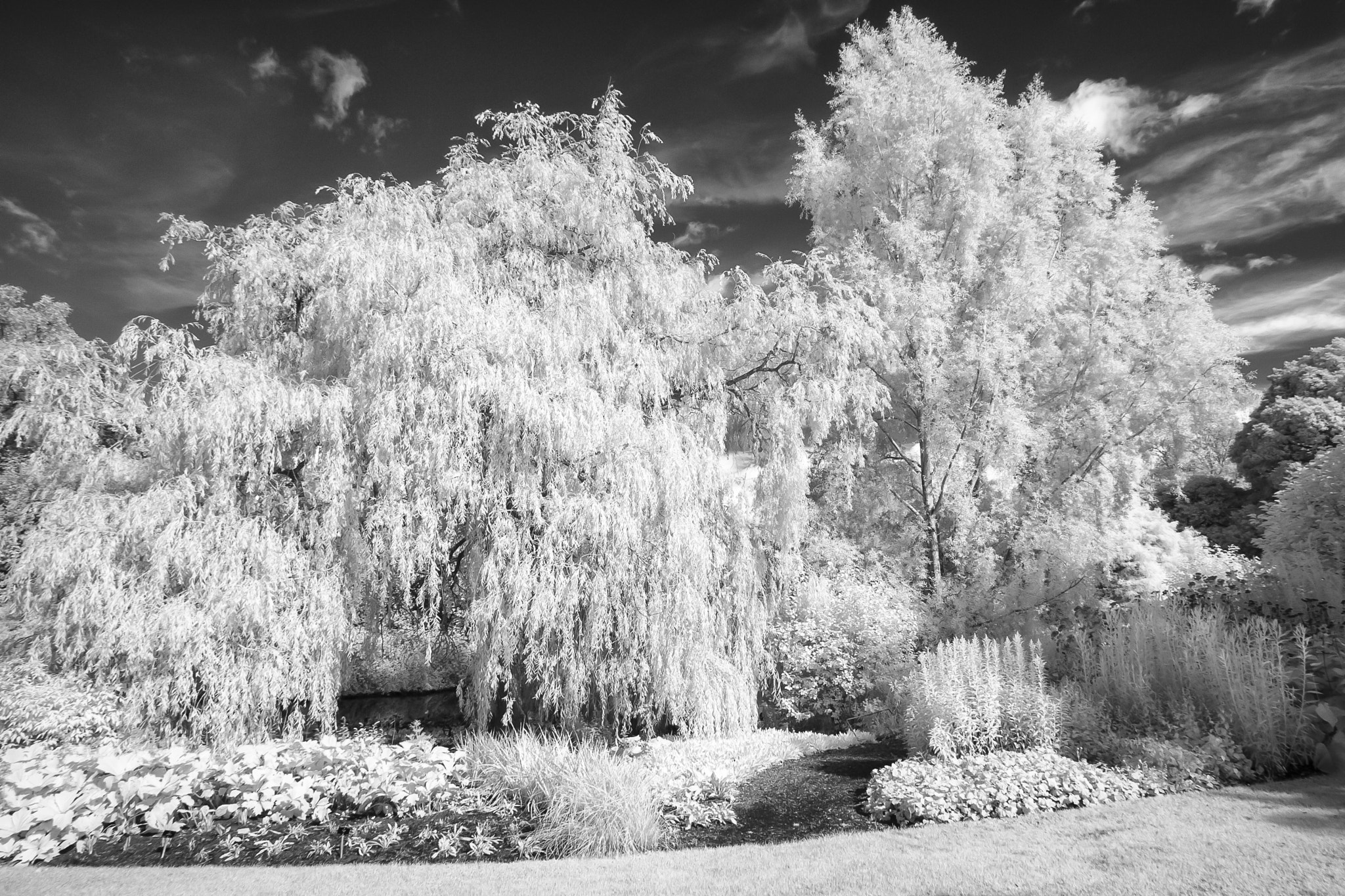 Canon EOS-1D Mark II sample photo. Royal botanical gardens 1 photography