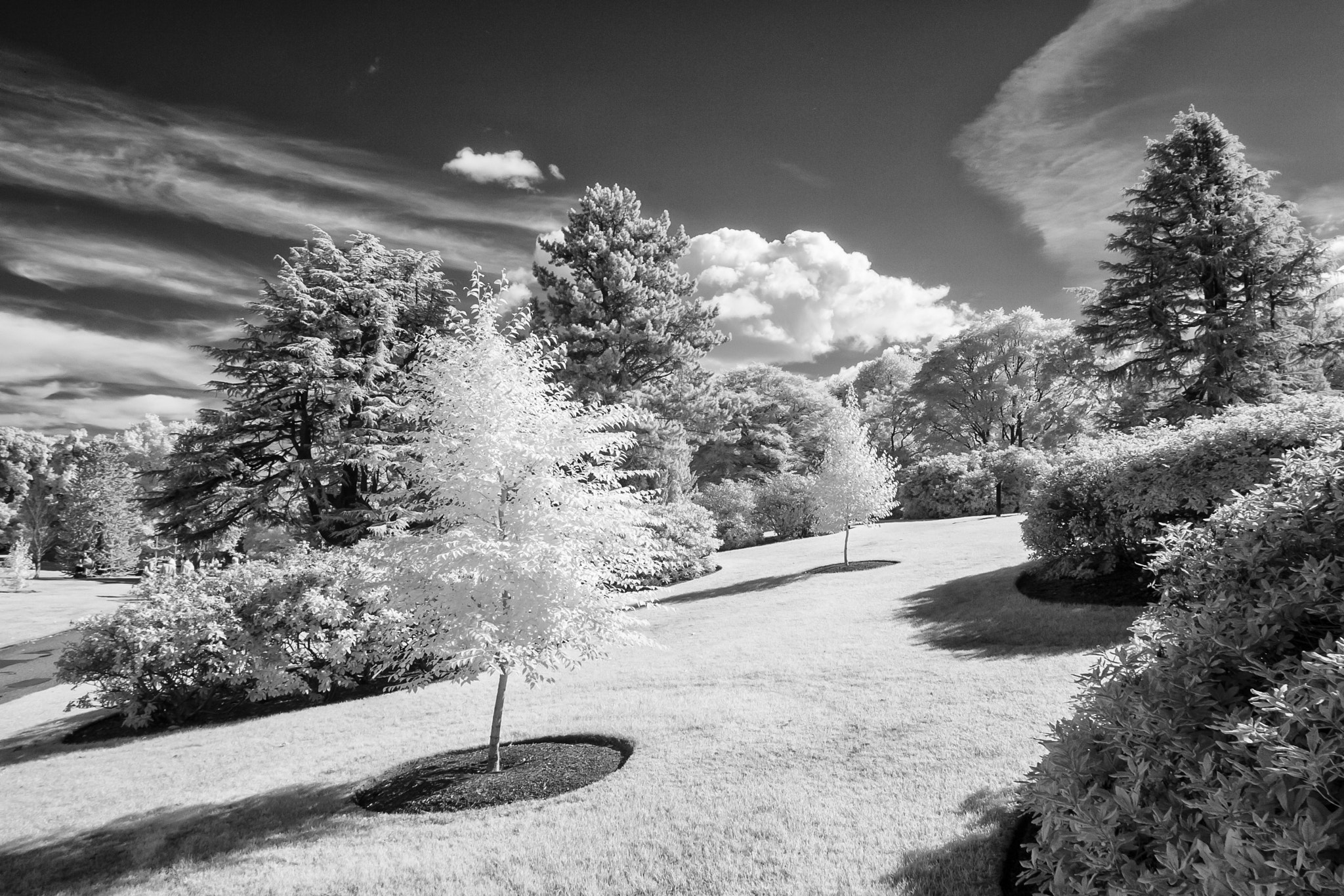 Canon EOS-1D Mark II sample photo. Royal botanical gardens 2 photography