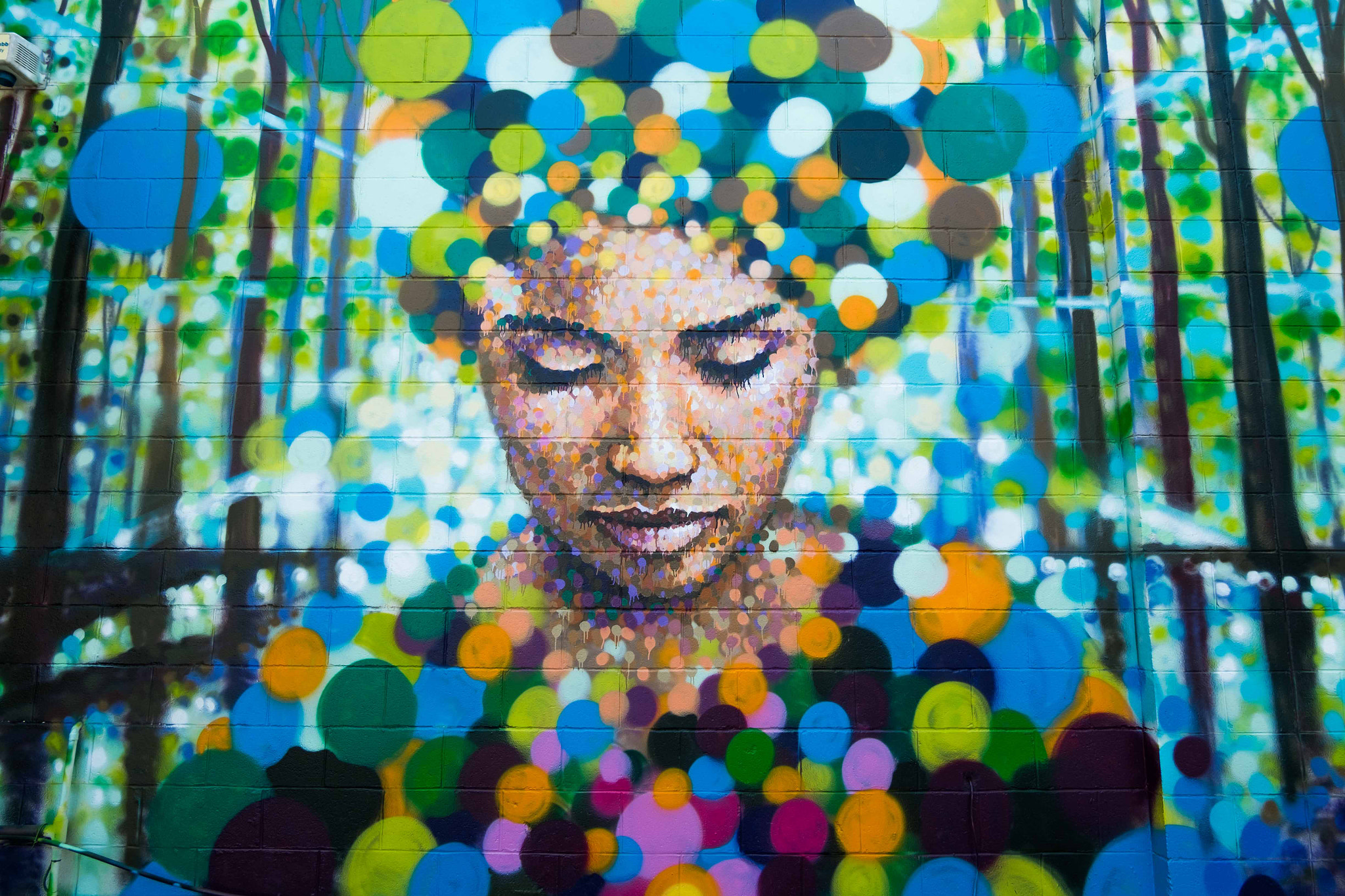 Fujifilm X-M1 + Fujifilm XC 16-50mm F3.5-5.6 OIS II sample photo. Street art photography