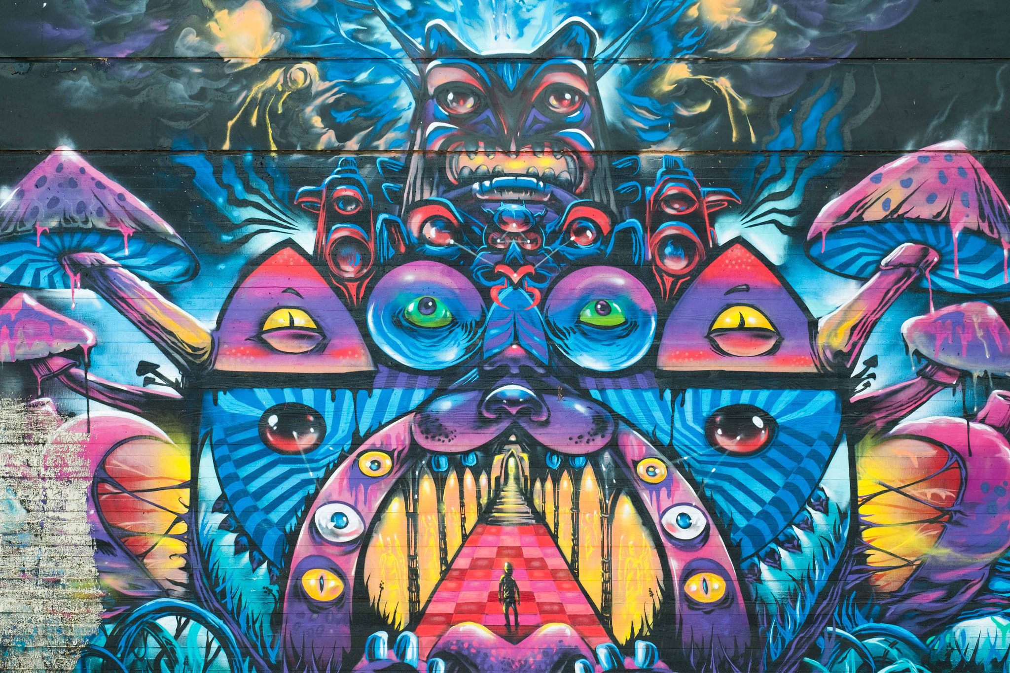 Fujifilm X-M1 + Fujifilm XC 50-230mm F4.5-6.7 OIS II sample photo. Street art photography