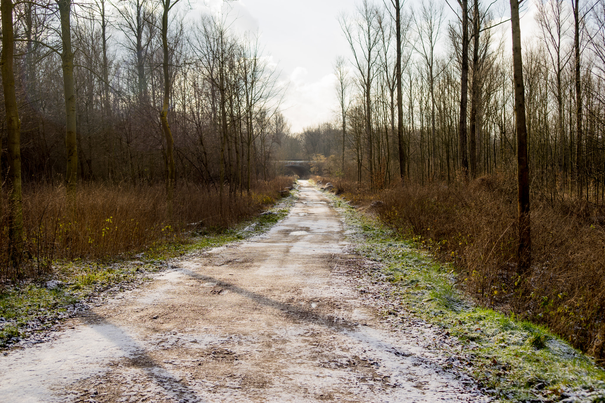 Sony a7 + 35-70mm F4 sample photo. The first and the last snow photography