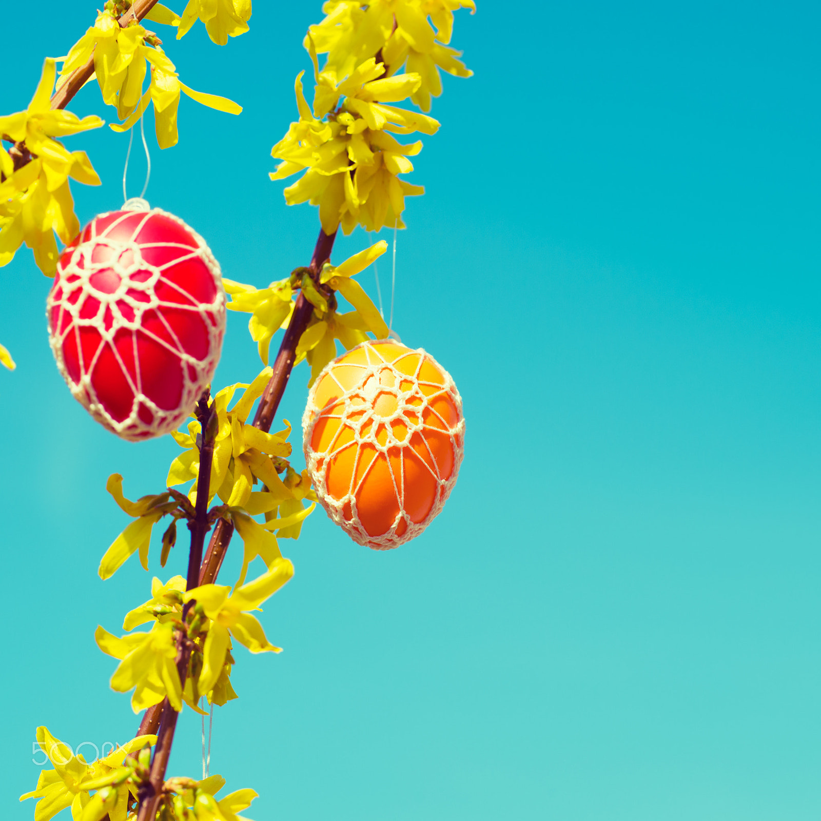 Nikon D4S + Sigma 70mm F2.8 EX DG Macro sample photo. Beautiful easter eggs hanging from a blooming forsythia photography