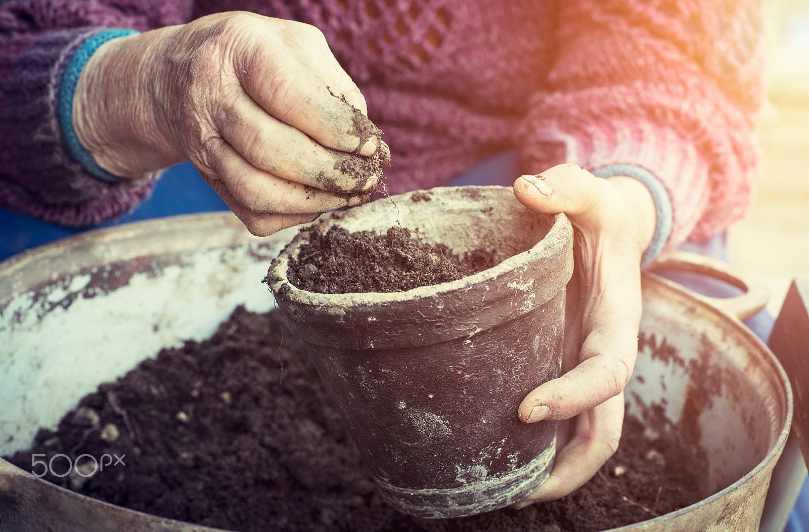 Nikon D4S + Sigma 70mm F2.8 EX DG Macro sample photo. Old woman filling a pot with fresh soil. symbol of spring and clean eating concept. photography