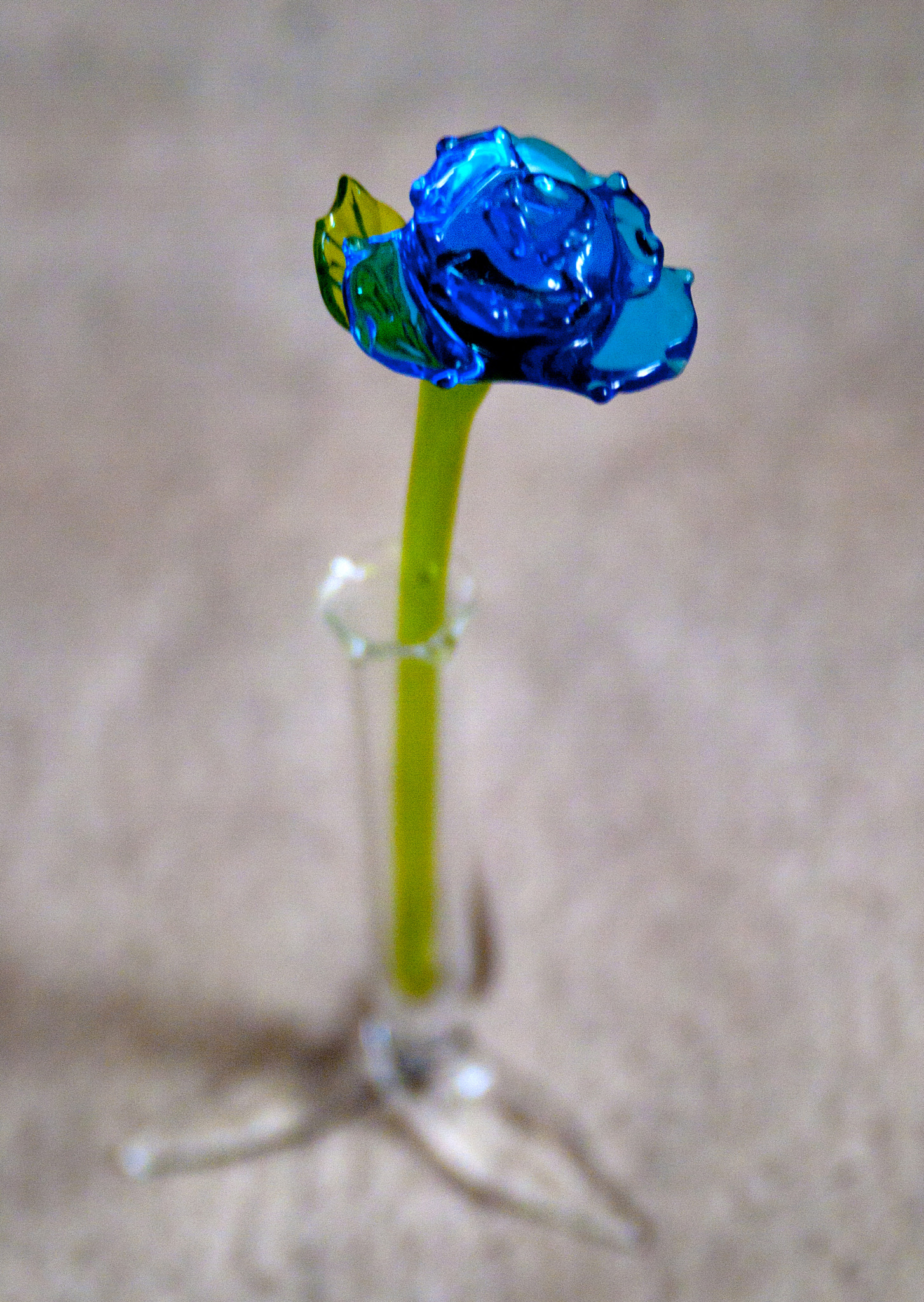 Olympus E-520 (EVOLT E-520) + SIGMA 18-50mm F2.8 DC sample photo. Blue glass flower photography