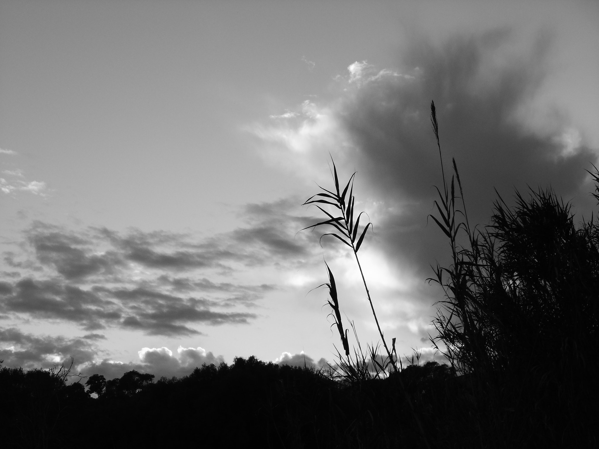 FujiFilm FinePix JZ500 (FinePix JZ505) sample photo. Landscape in bw photography