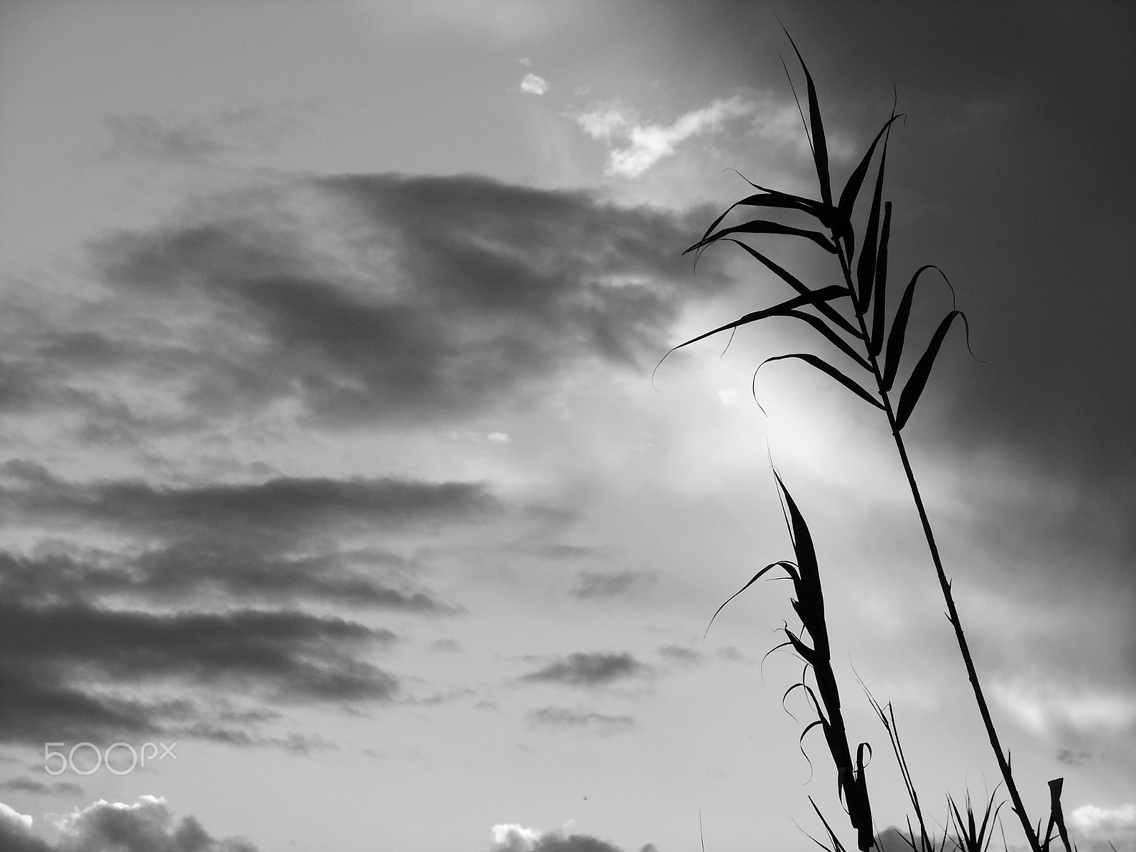 FujiFilm FinePix JZ500 (FinePix JZ505) sample photo. Sunset in sardinia photography