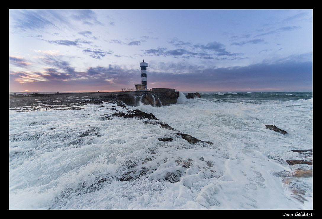 Nikon D800 + Nikon AF Nikkor 14mm F2.8D ED sample photo. 2016-02-14_07.46.54.jpg photography
