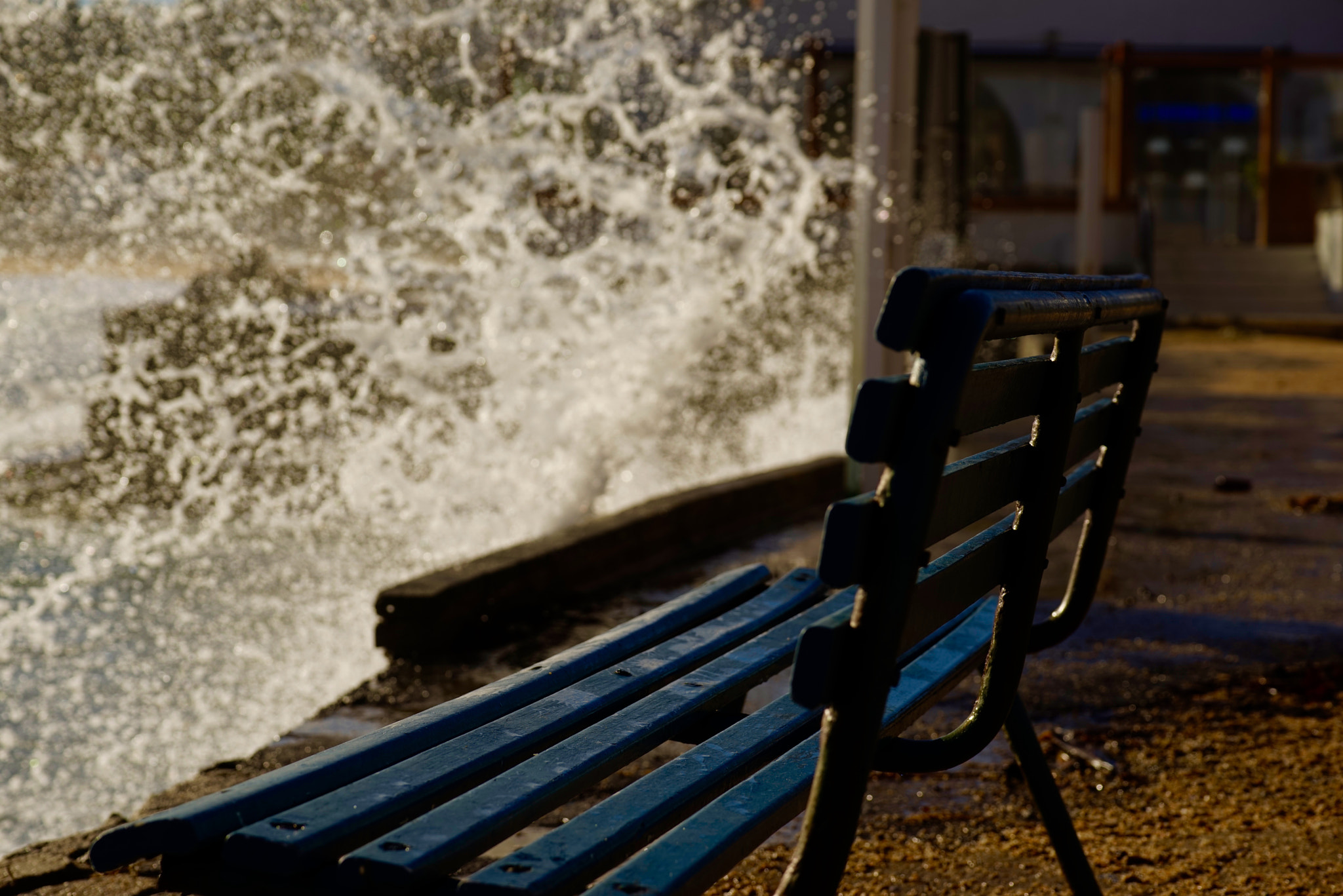 Tamron SP 70-300mm F4-5.6 Di USD sample photo. My s'agaro... it's amazing you need to see photography