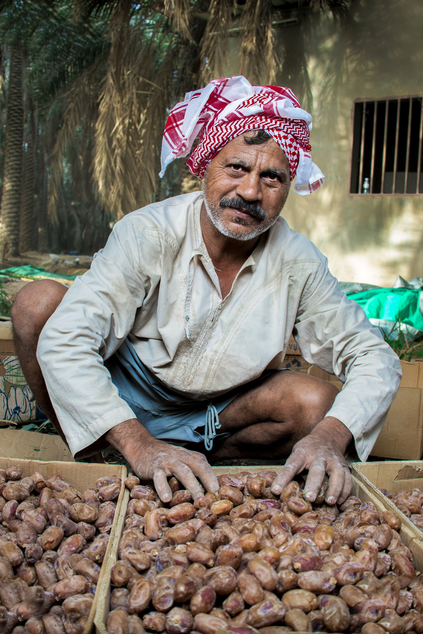 Nikon D800 + Nikon AF-S DX Nikkor 35mm F1.8G sample photo. مزارع وافد photography